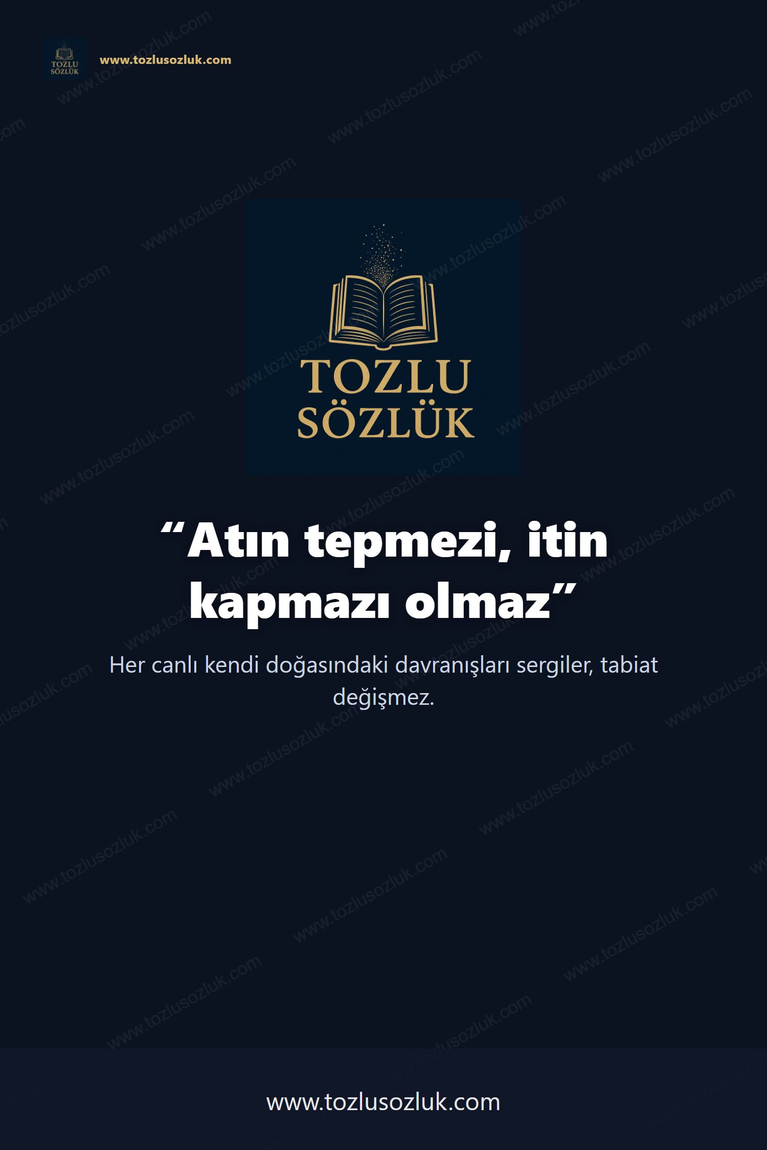 Atın tepmezi, itin kapmazı olmaz Pinterest görseli
