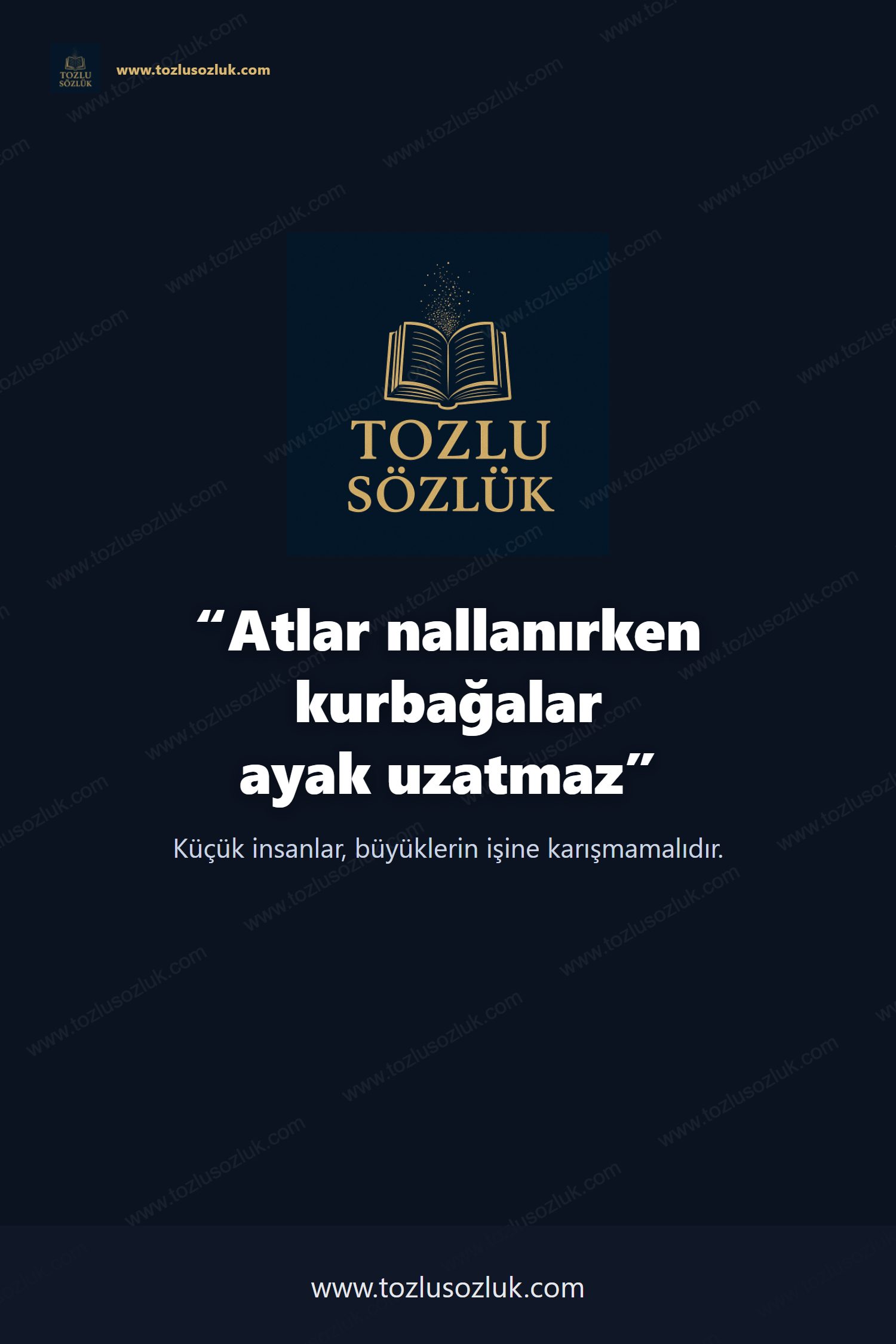 Atlar nallanırken kurbağalar ayak uzatmaz Pinterest görseli