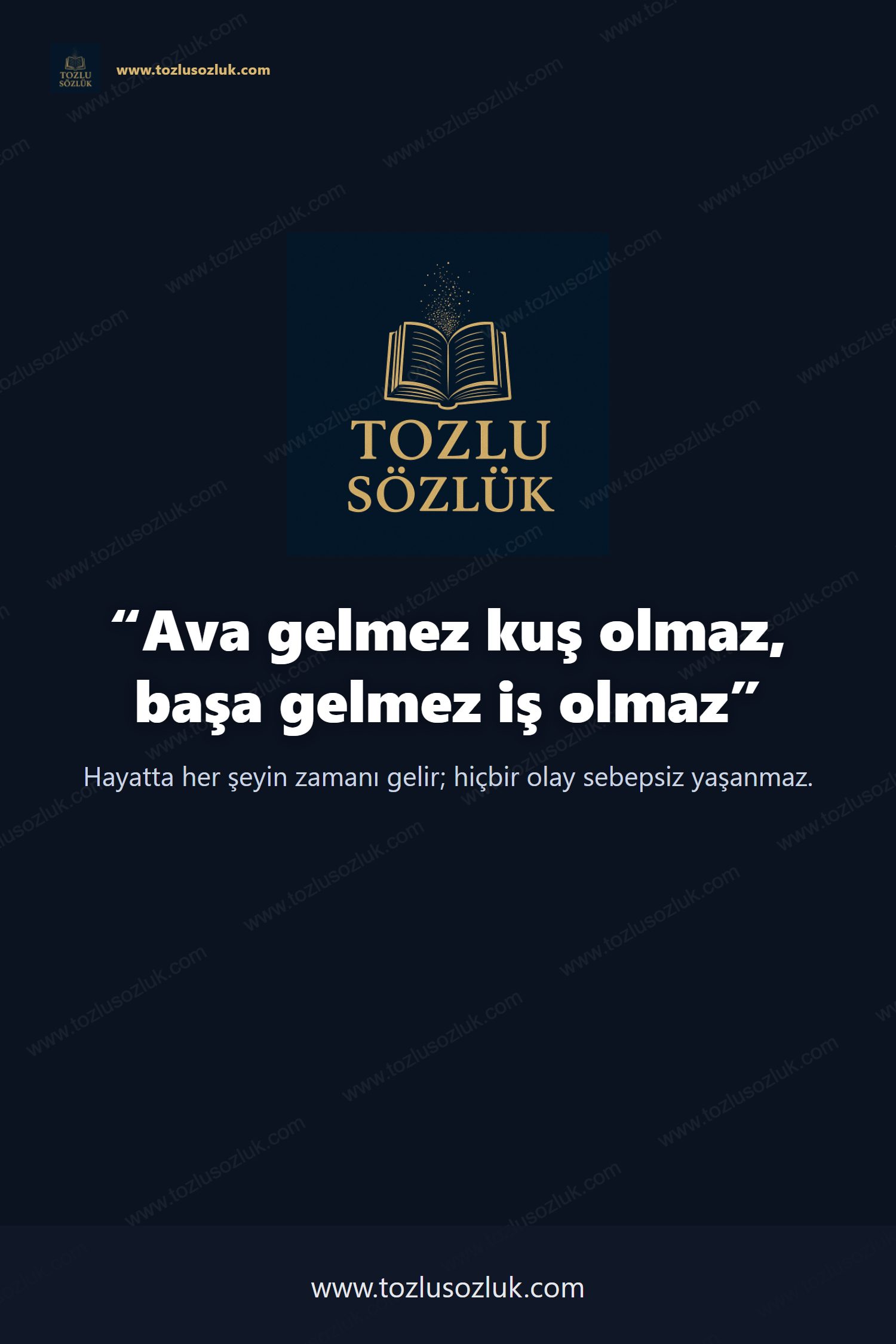 Ava gelmez kuş olmaz, başa gelmez iş olmaz Pinterest görseli