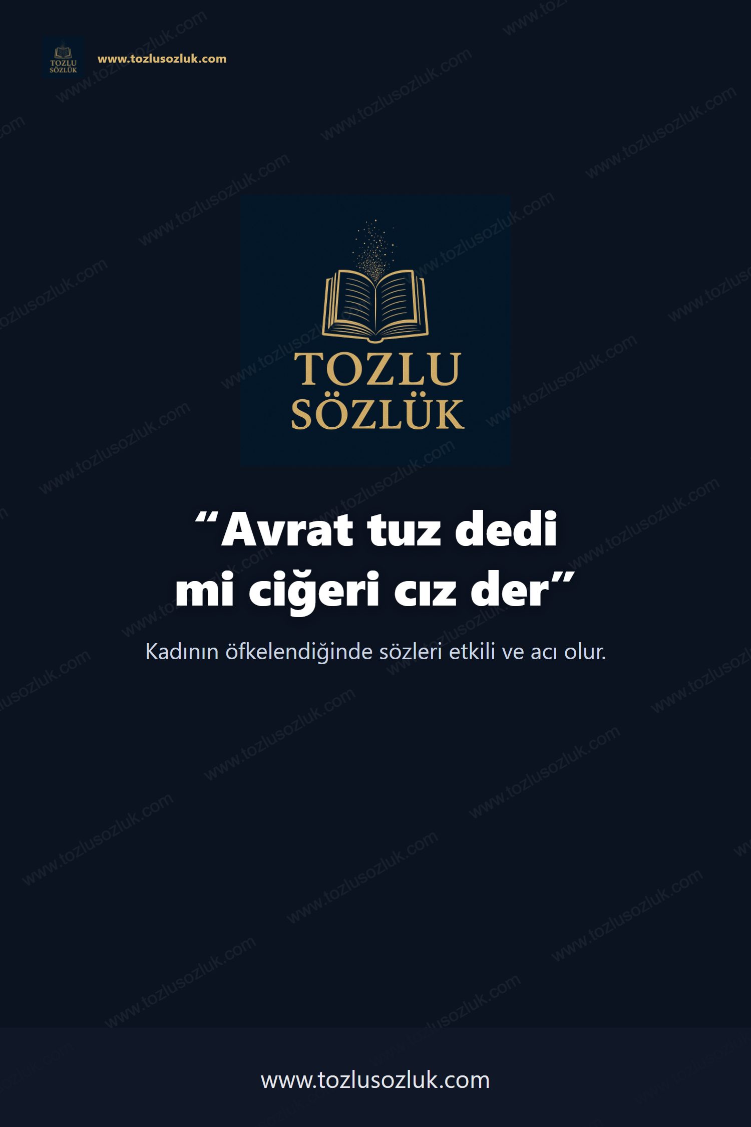 Avrat tuz dedi mi ciğeri cız der Pinterest görseli