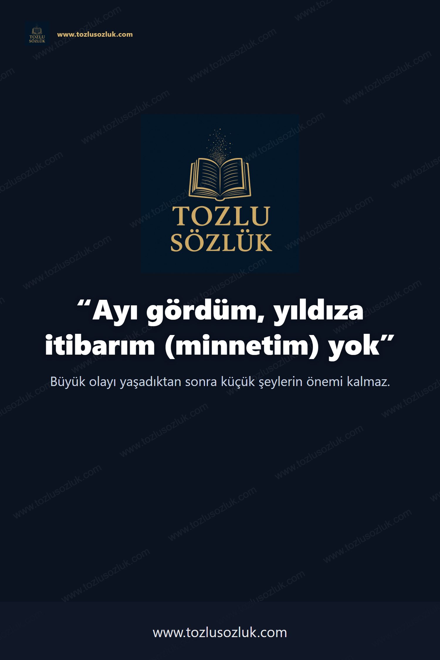 Ayı gördüm, yıldıza itibarım (minnetim) yok Pinterest görseli