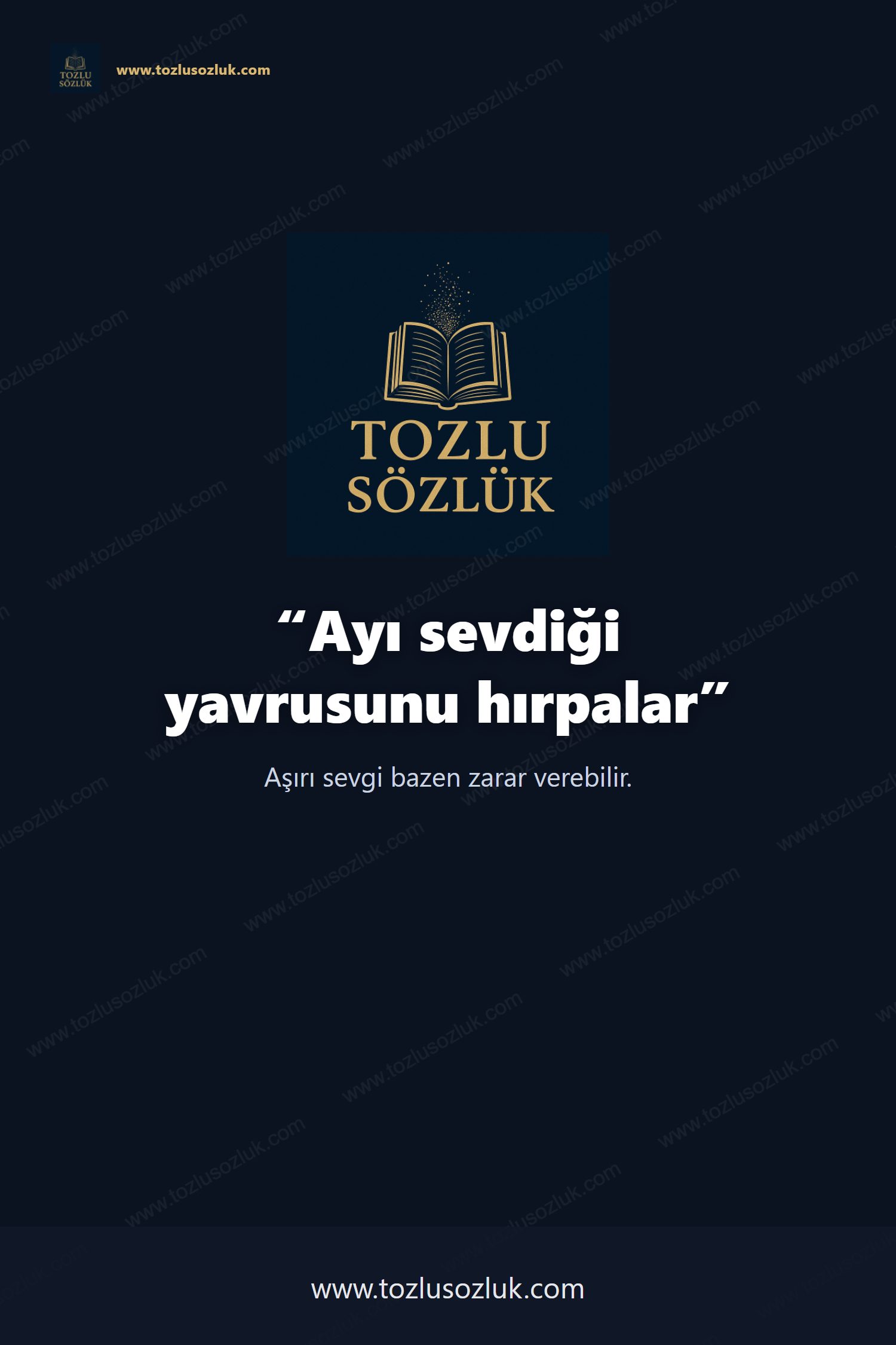 Ayı sevdiği yavrusunu hırpalar Pinterest görseli