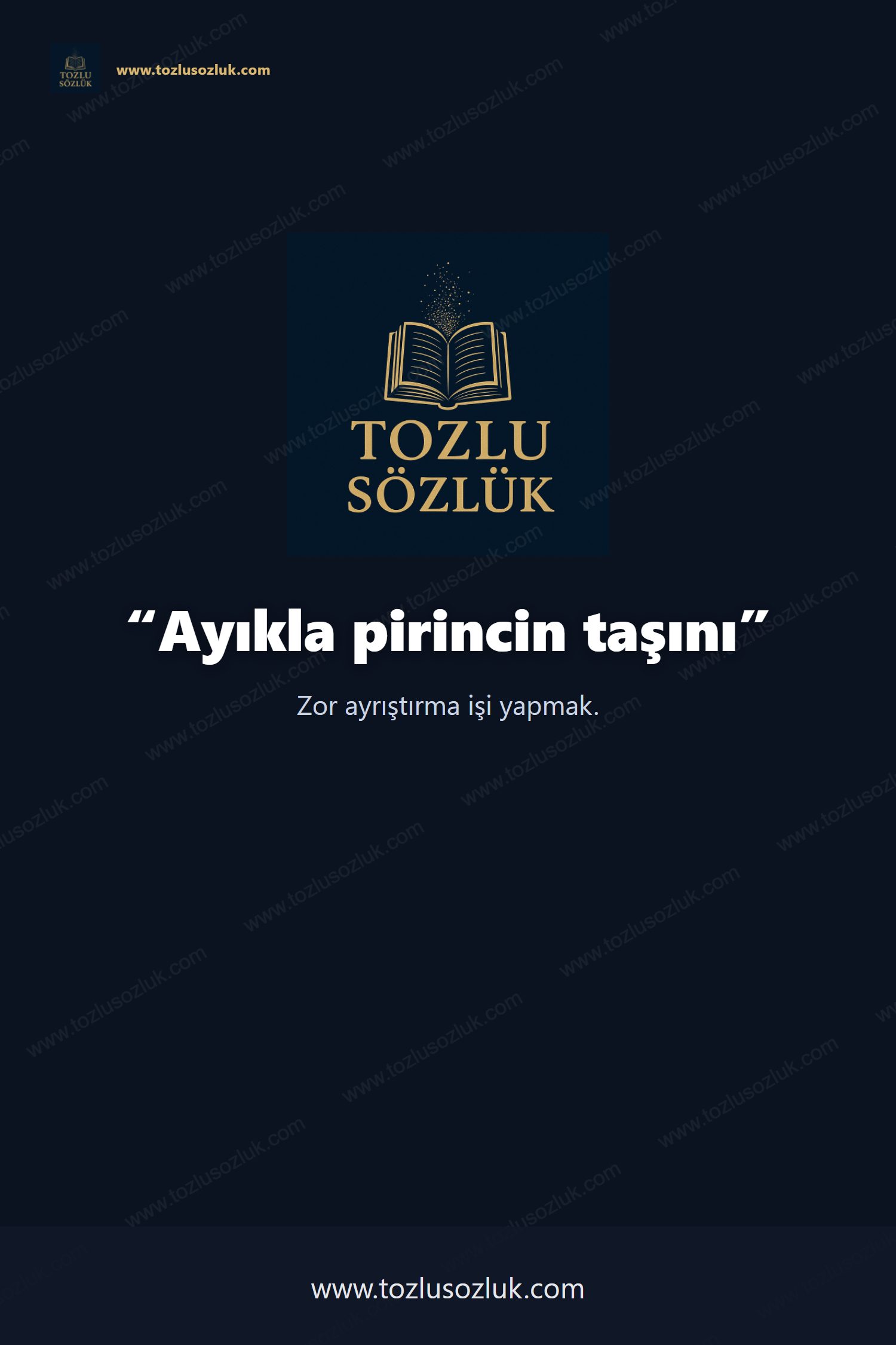 Ayıkla pirincin taşını Pinterest görseli