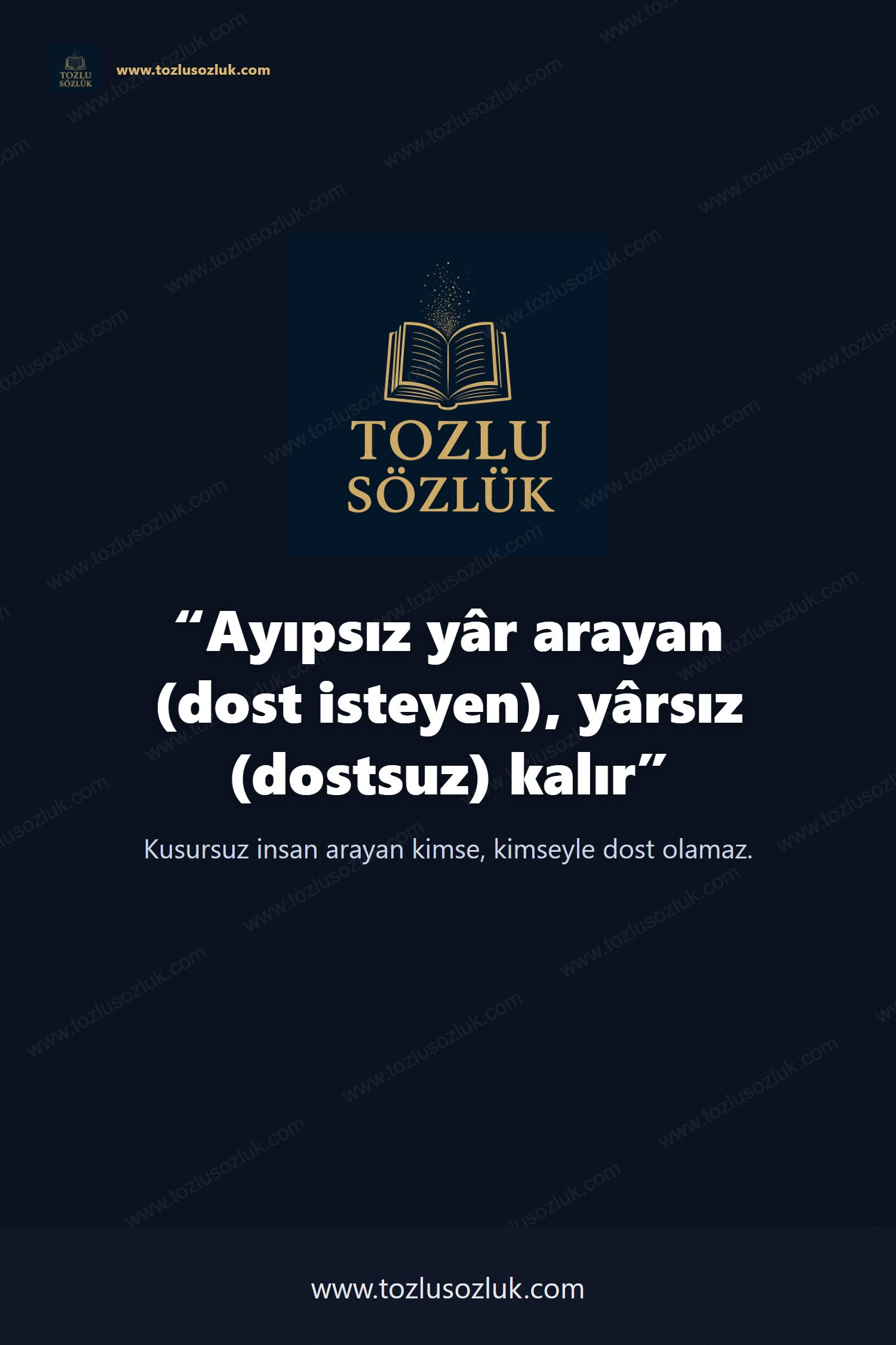 Ayıpsız yâr arayan (dost isteyen), yârsız (dostsuz) kalır Pinterest görseli
