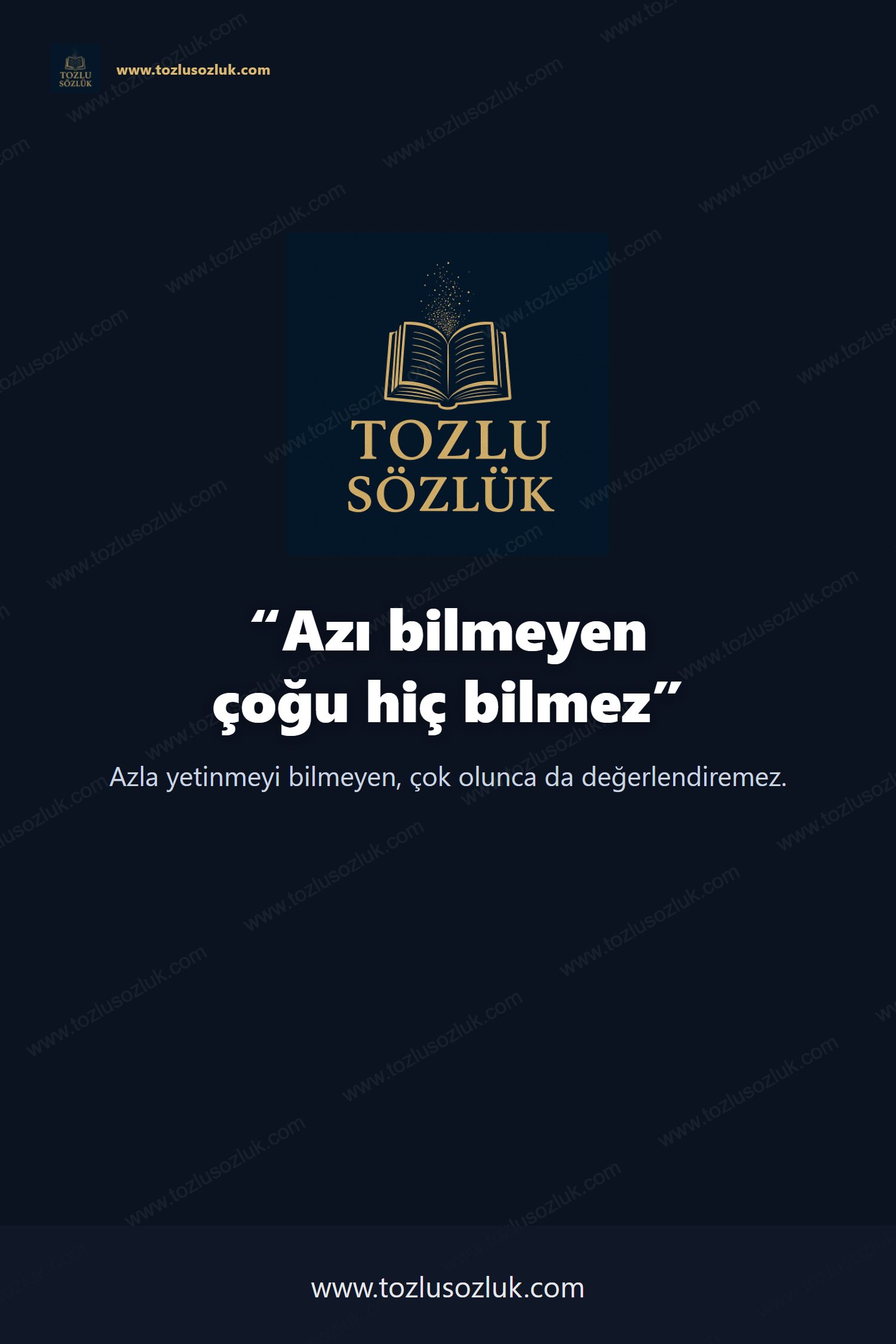 Azı bilmeyen çoğu hiç bilmez Pinterest görseli