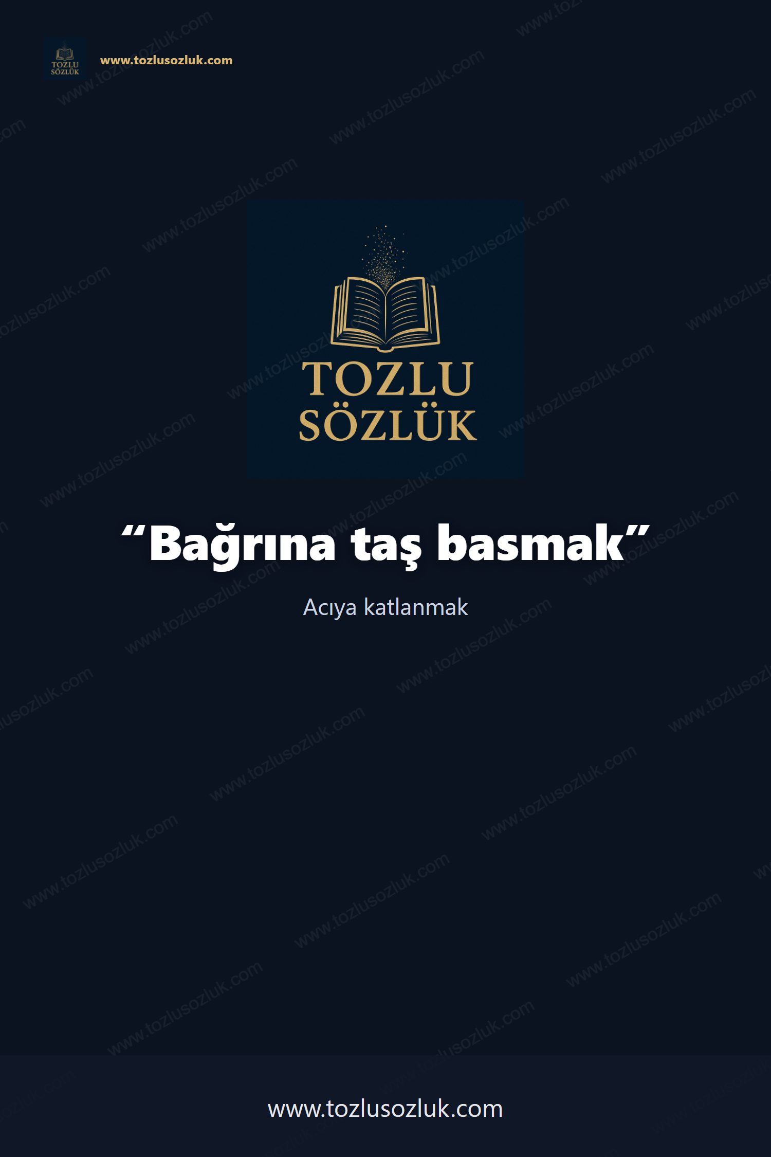 Bağrına taş basmak Pinterest görseli