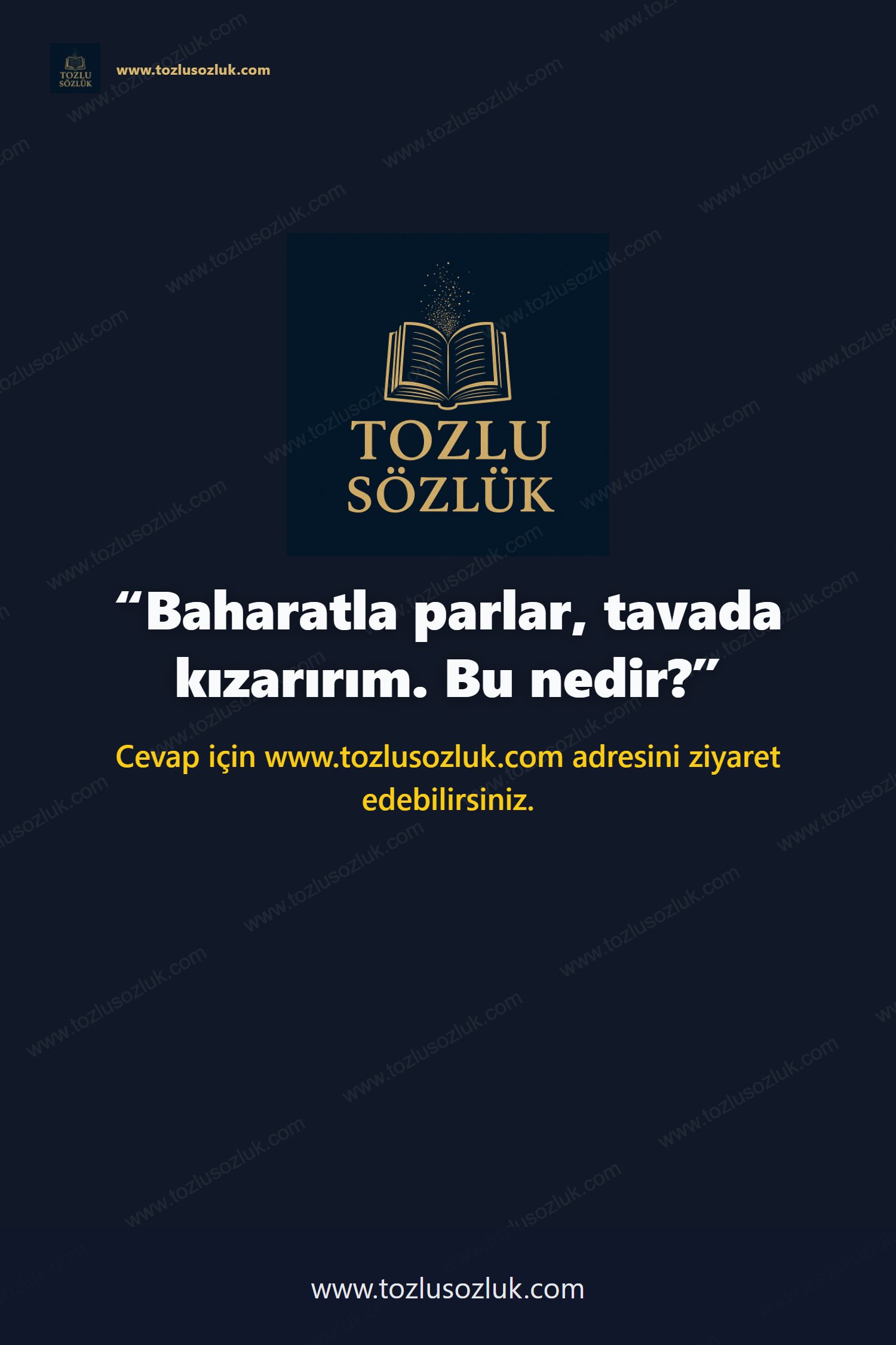 Baharatla parlar, tavada kızarırım. Bu nedir? Pinterest görseli