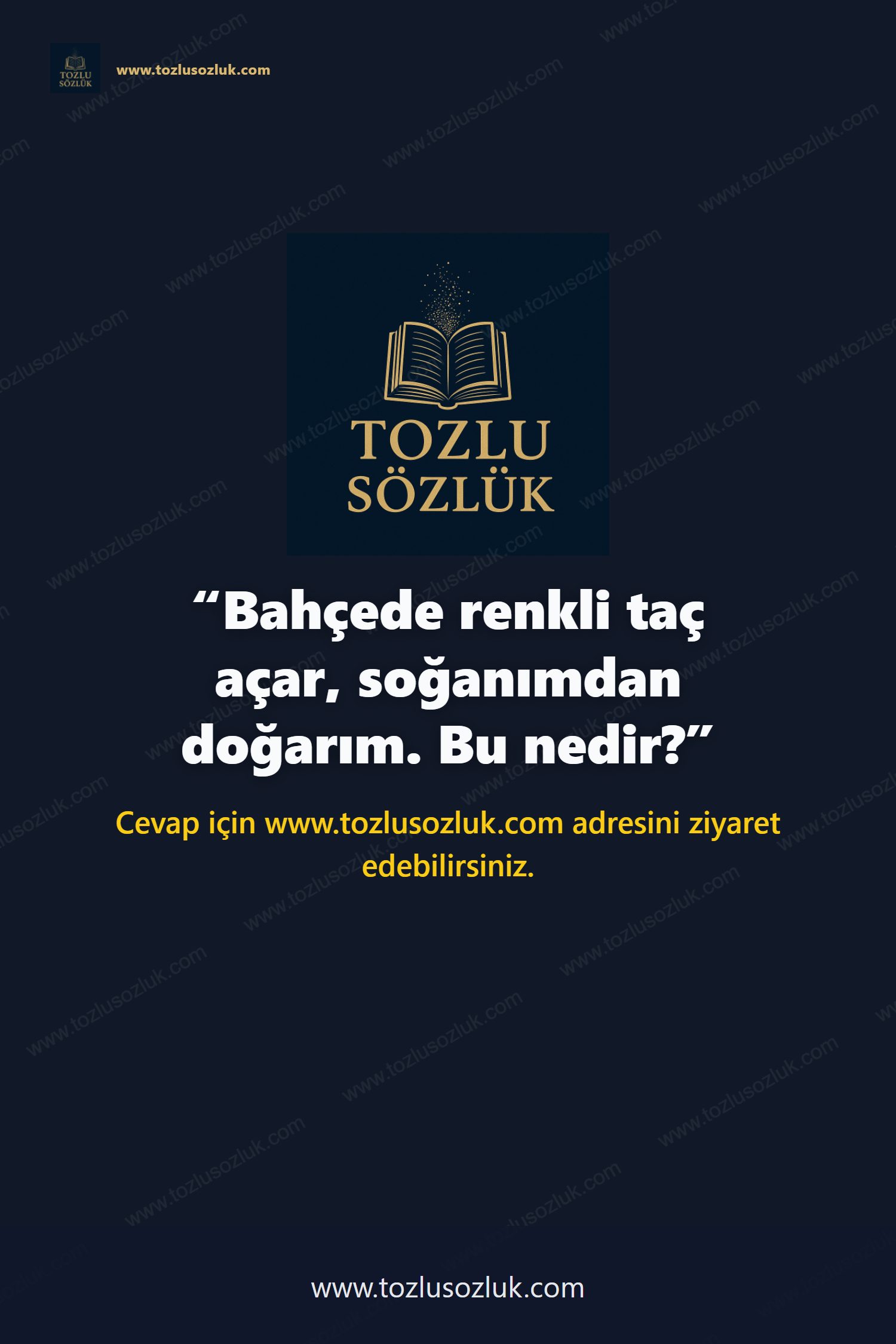 Bahçede renkli taç açar, soğanımdan doğarım. Bu nedir? Pinterest görseli