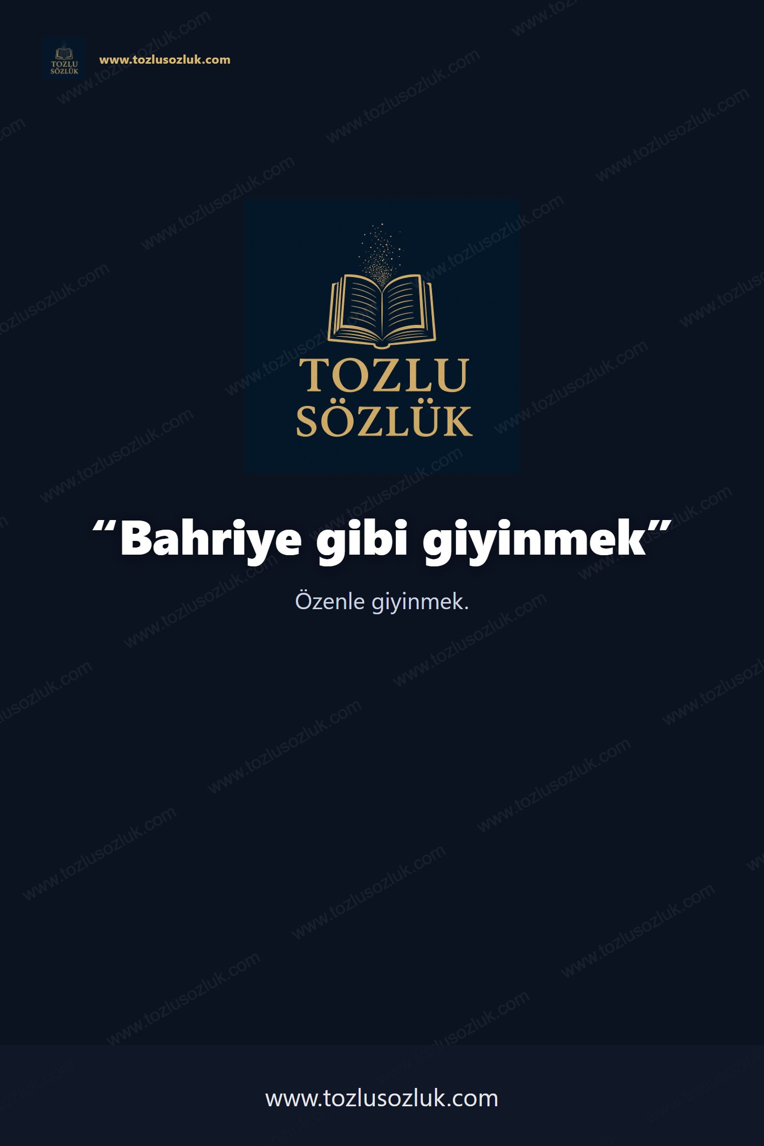 Bahriye gibi giyinmek Pinterest görseli
