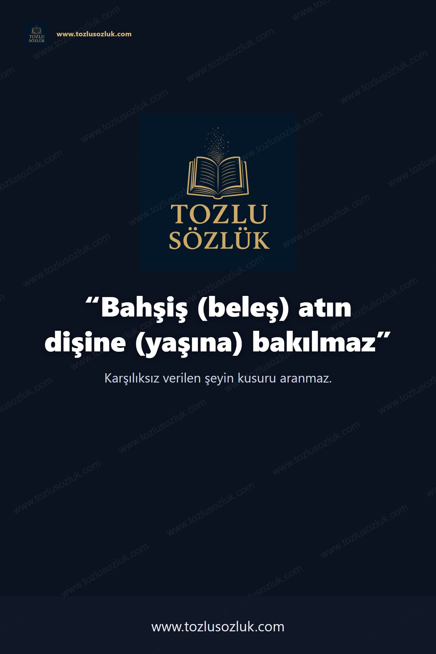 Bahşiş (beleş) atın dişine (yaşına) bakılmaz Pinterest görseli