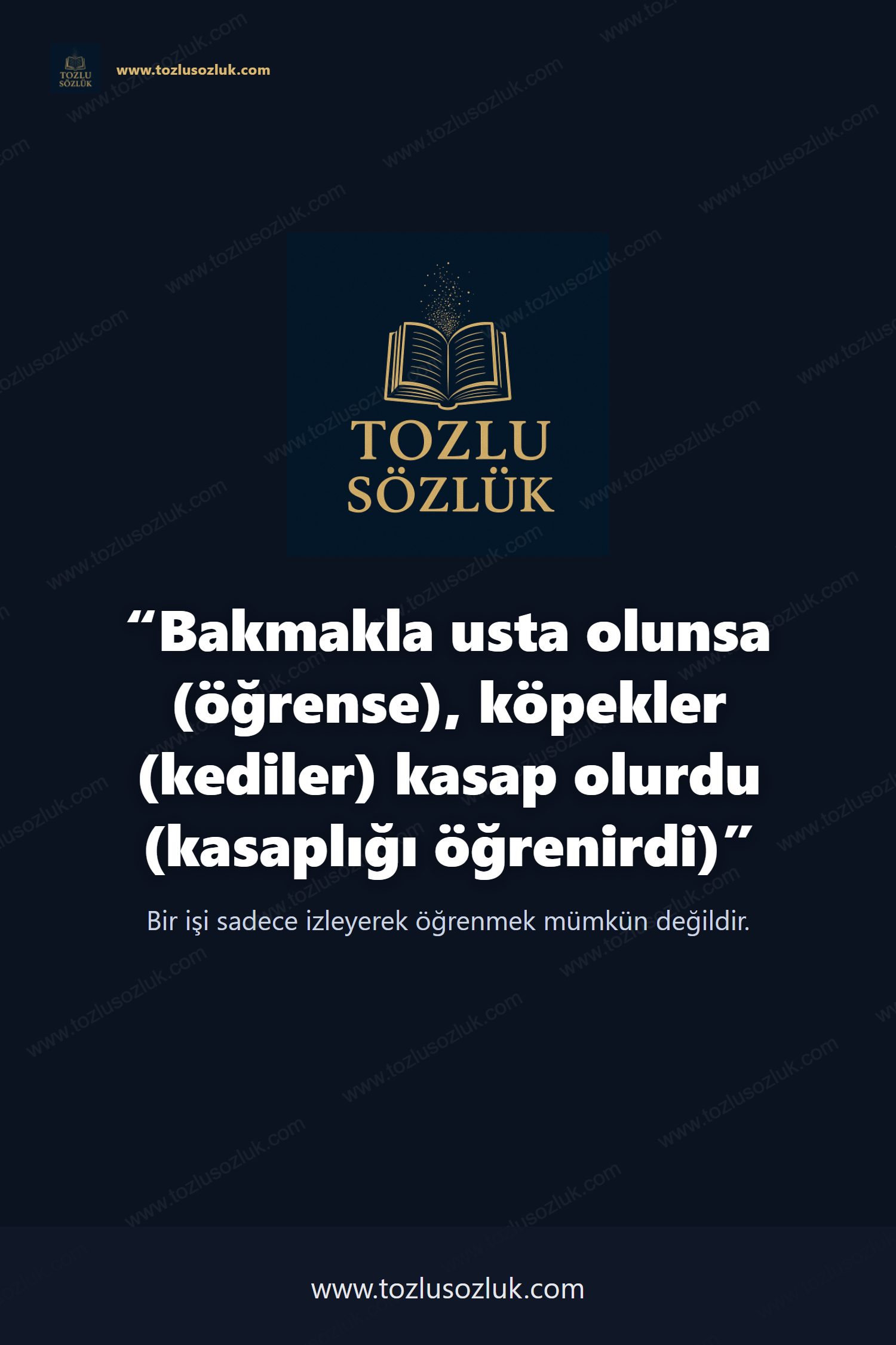 Bakmakla usta olunsa (öğrense), köpekler (kediler) kasap olurdu (kasaplığı öğrenirdi) Pinterest görseli