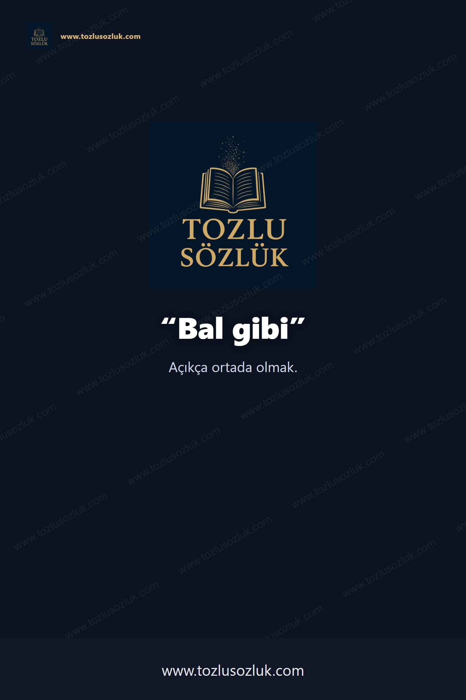 Bal gibi Pinterest görseli