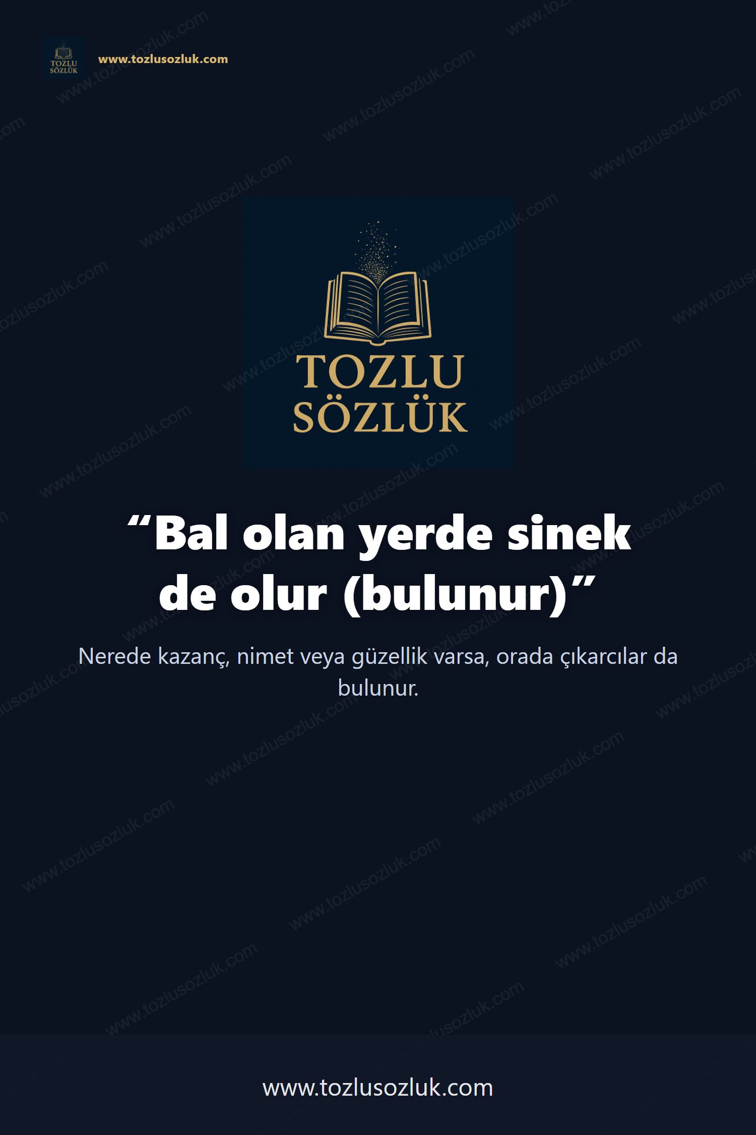 Bal olan yerde sinek de olur (bulunur) Pinterest görseli