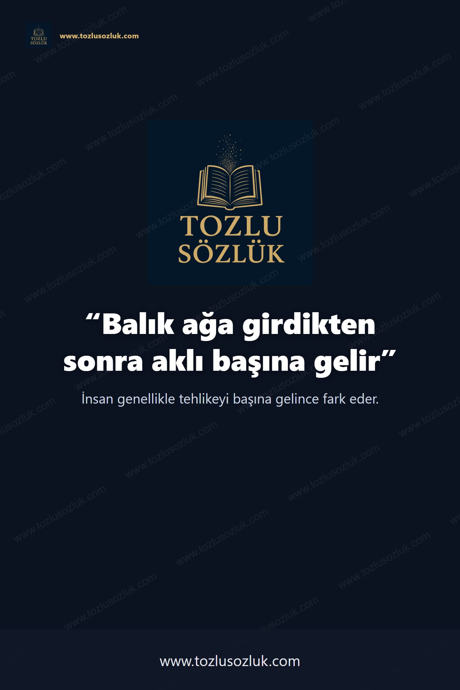 Balık ağa girdikten sonra aklı başına gelir Pinterest görseli