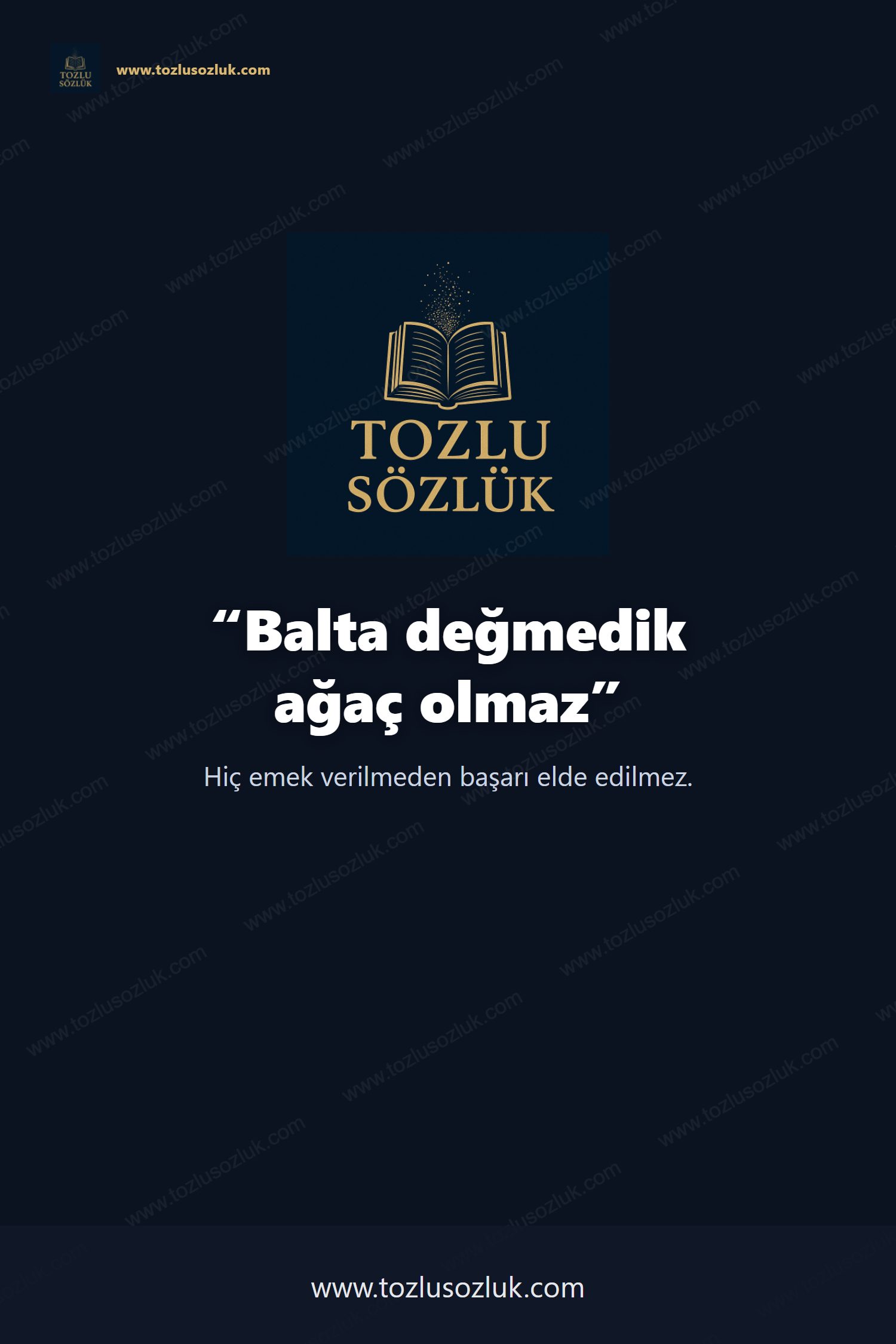 Balta değmedik ağaç olmaz Pinterest görseli