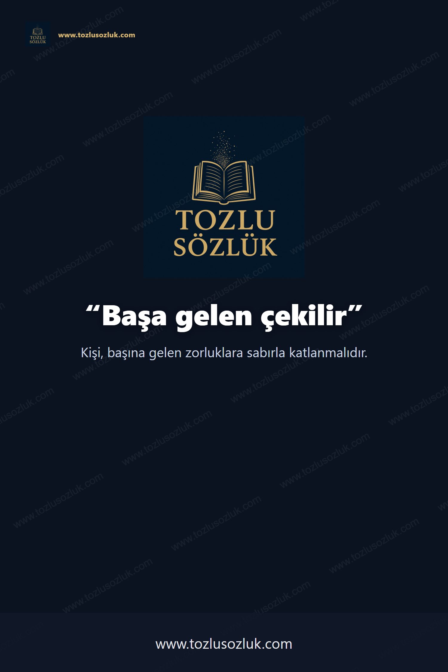 Başa gelen çekilir Pinterest görseli