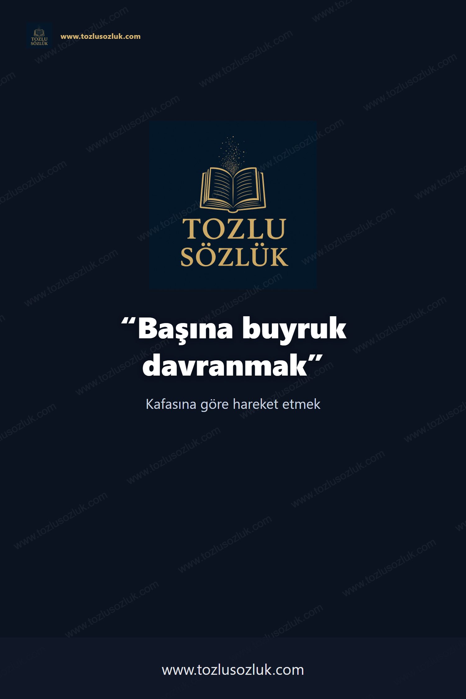 Başına buyruk davranmak Pinterest görseli