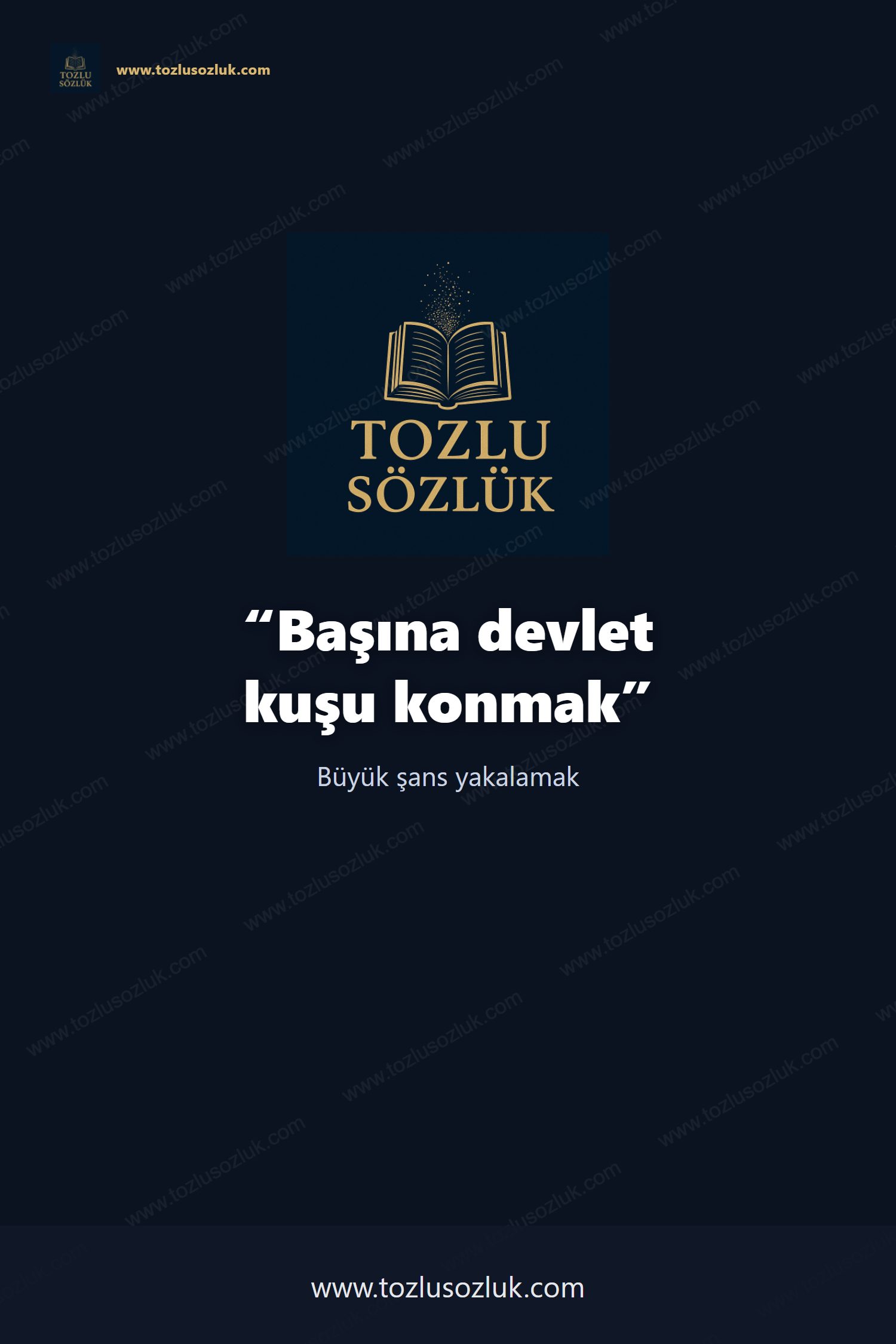 Başına devlet kuşu konmak Pinterest görseli