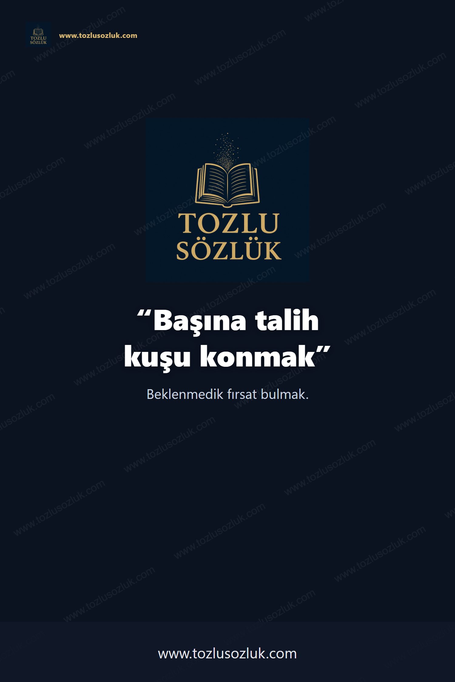 Başına talih kuşu konmak Pinterest görseli