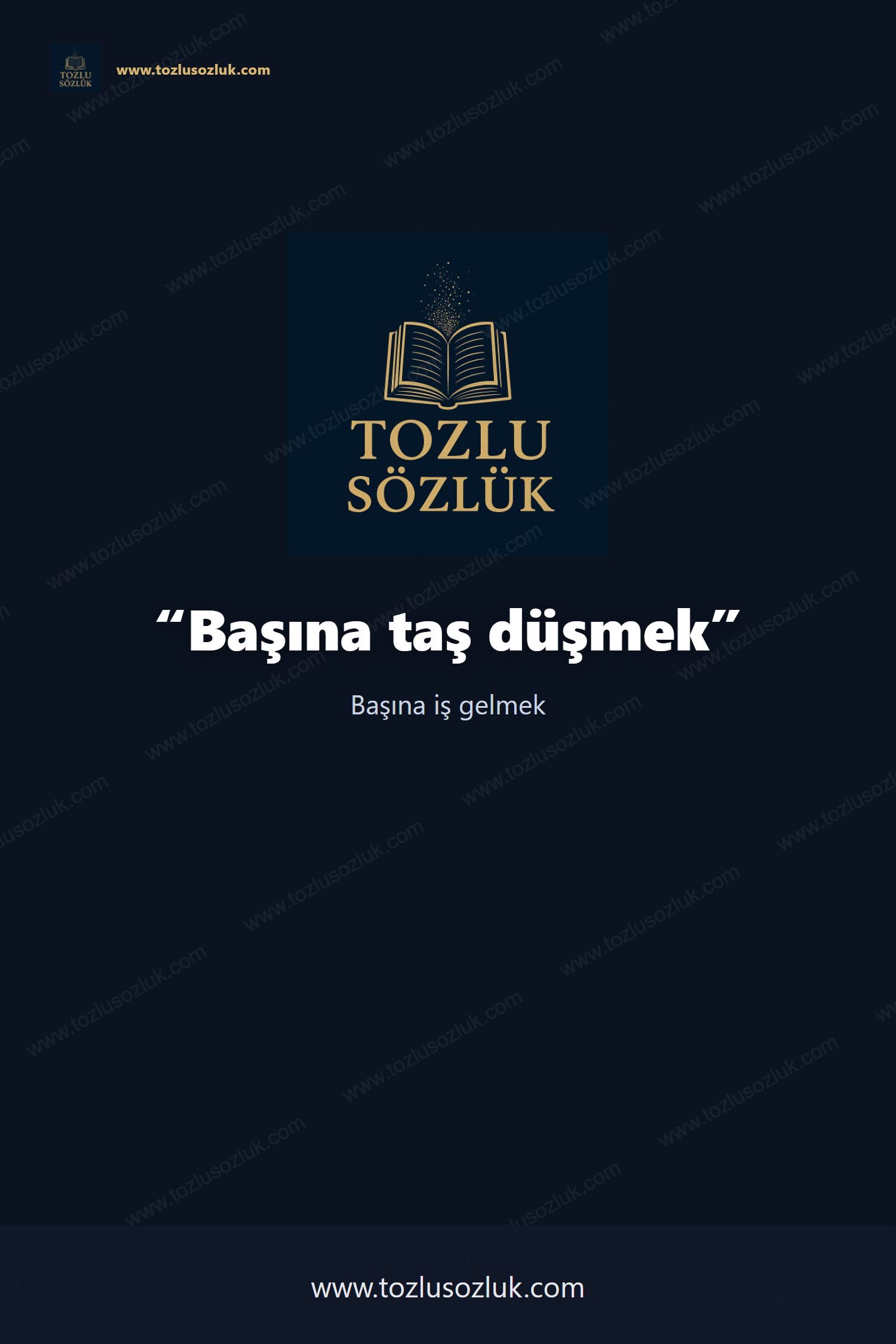 Başına taş düşmek Pinterest görseli