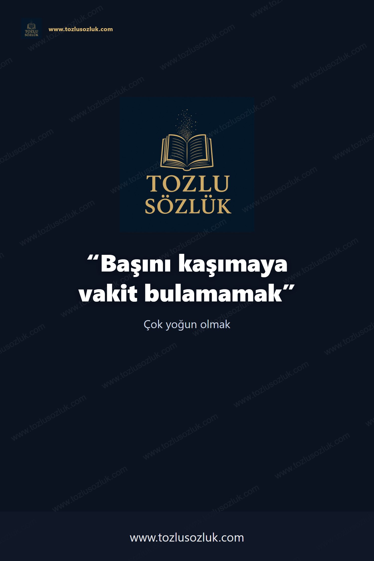 Başını kaşımaya vakit bulamamak Pinterest görseli