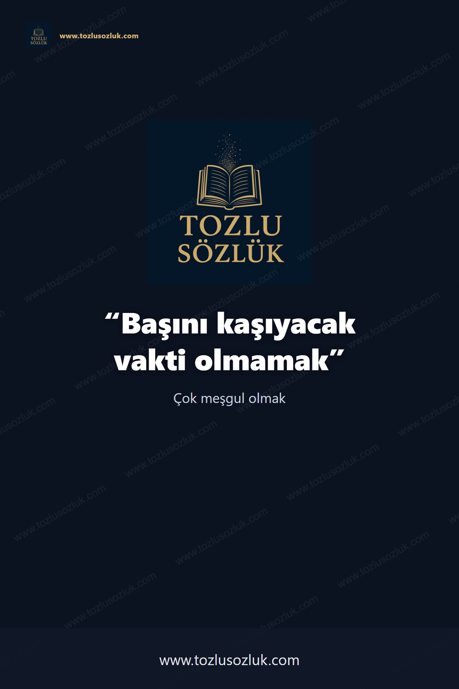 Başını kaşıyacak vakti olmamak Pinterest görseli