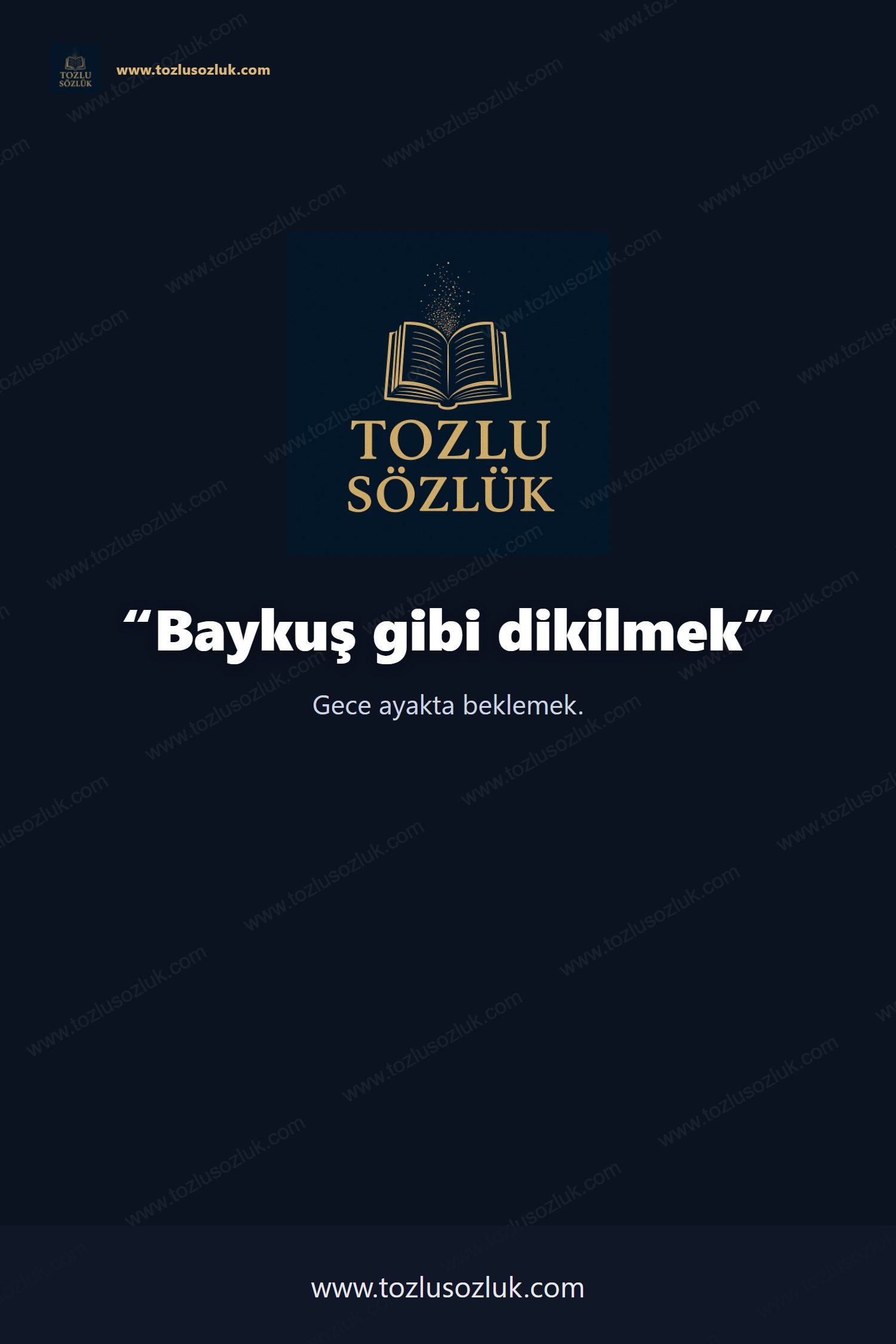 Baykuş gibi dikilmek Pinterest görseli