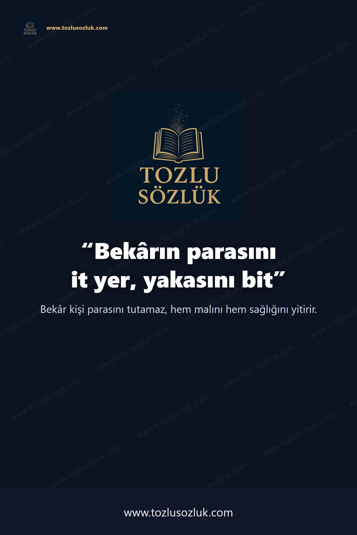 Bekârın parasını it yer, yakasını bit Pinterest görseli