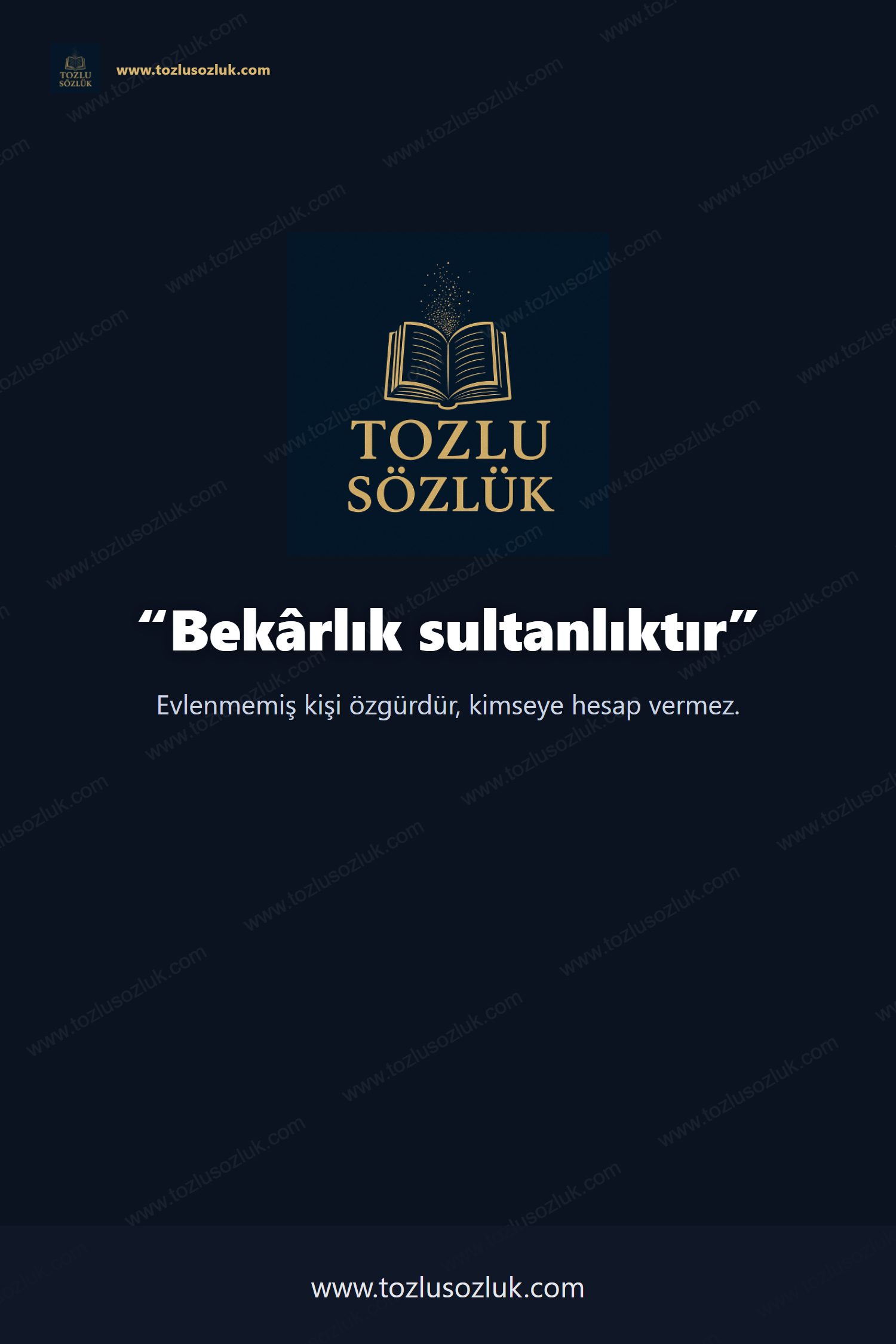 Bekârlık sultanlıktır Pinterest görseli