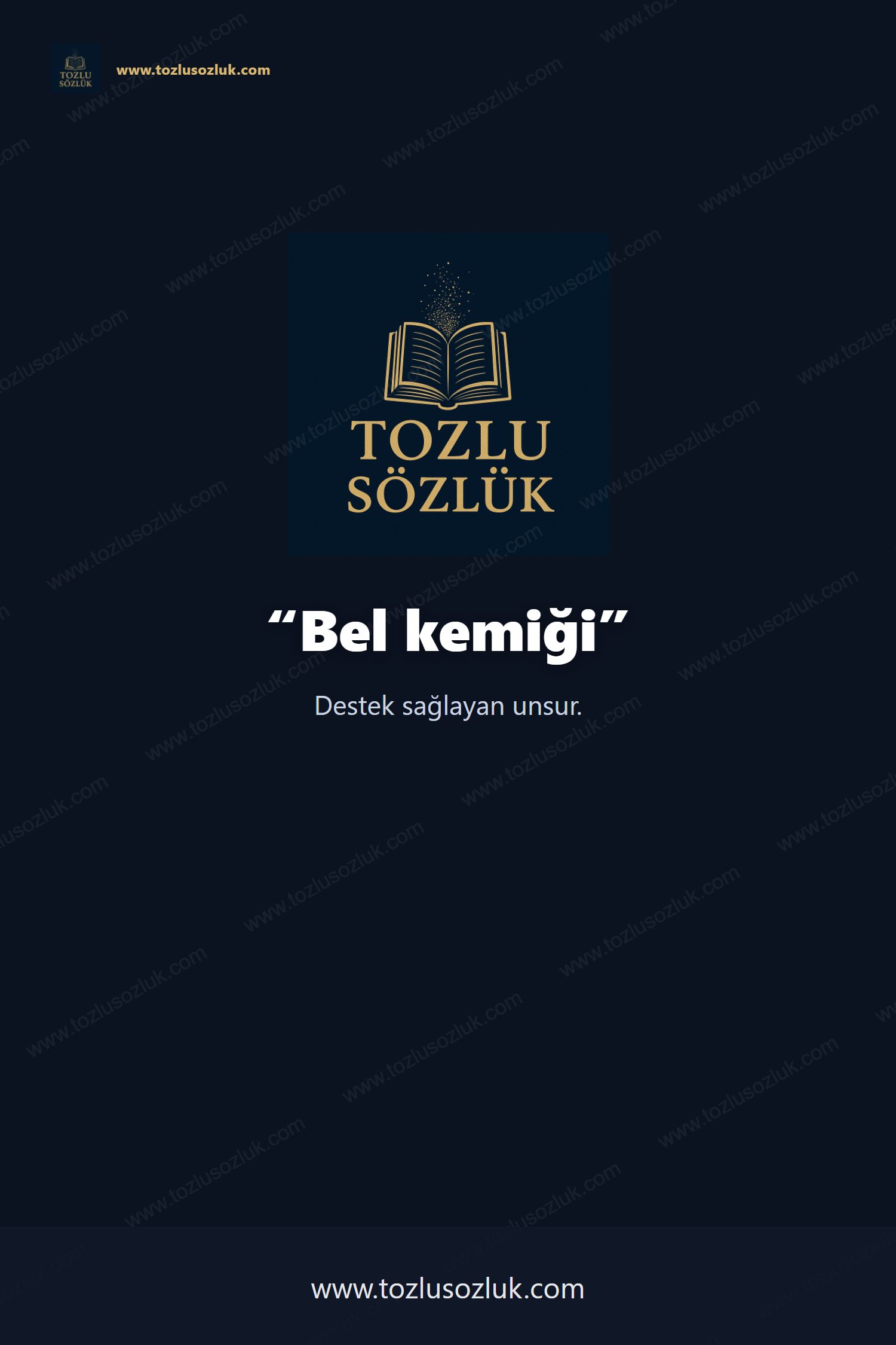Bel kemiği Pinterest görseli