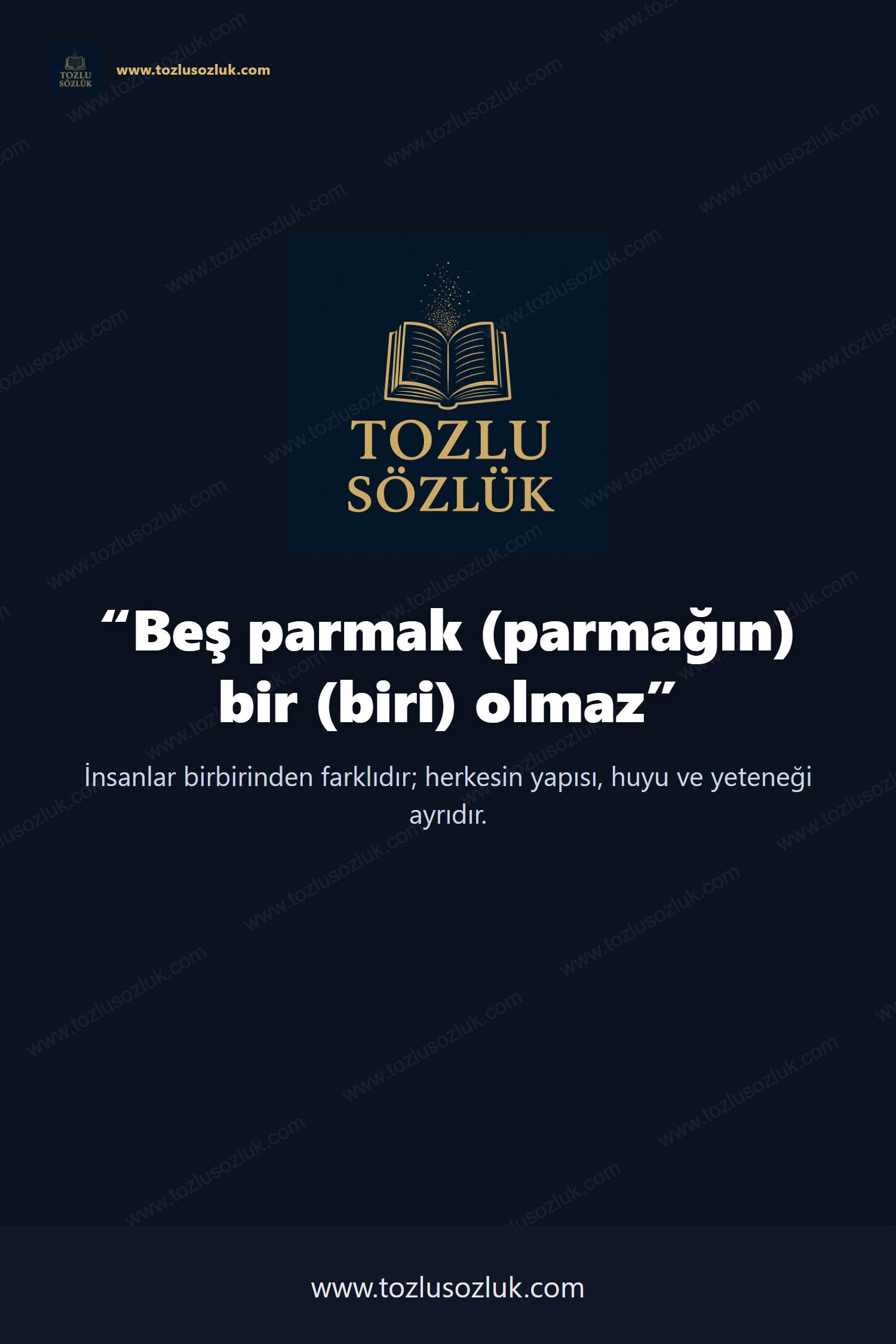 Beş parmak (parmağın) bir (biri) olmaz Pinterest görseli