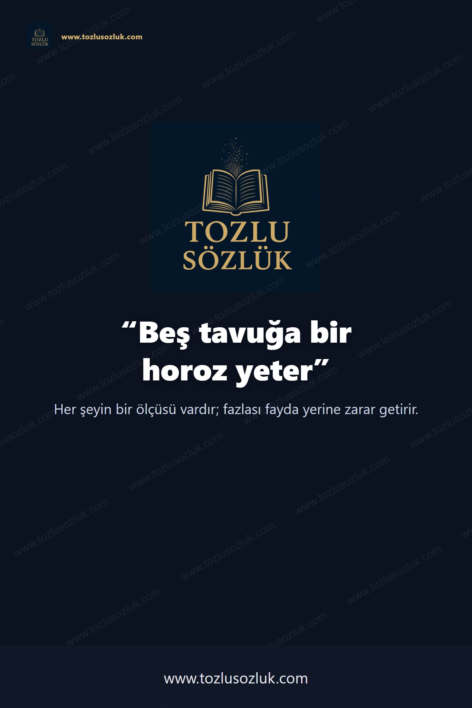 Beş tavuğa bir horoz yeter Pinterest görseli