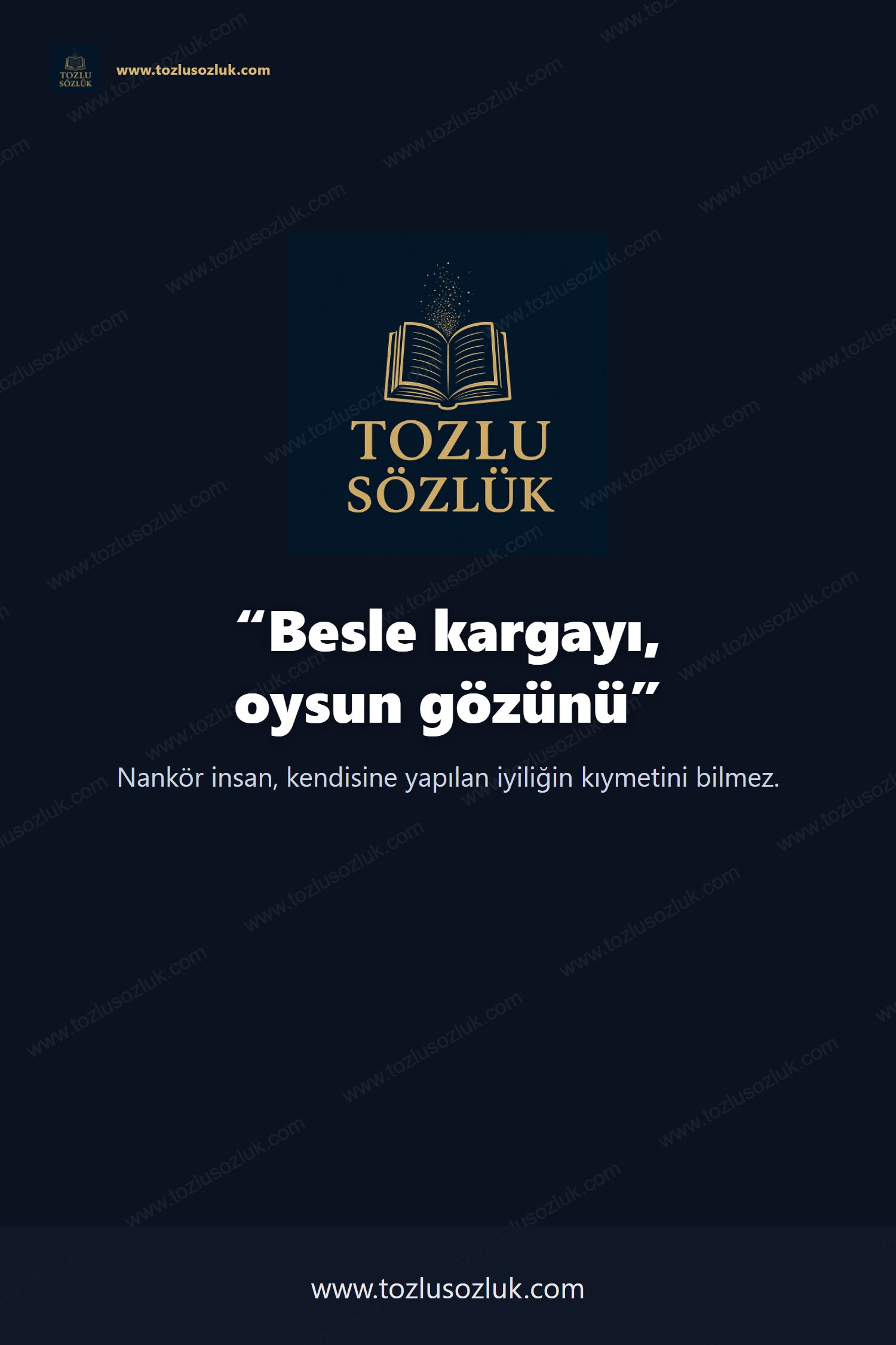 Besle kargayı, oysun gözünü Pinterest görseli
