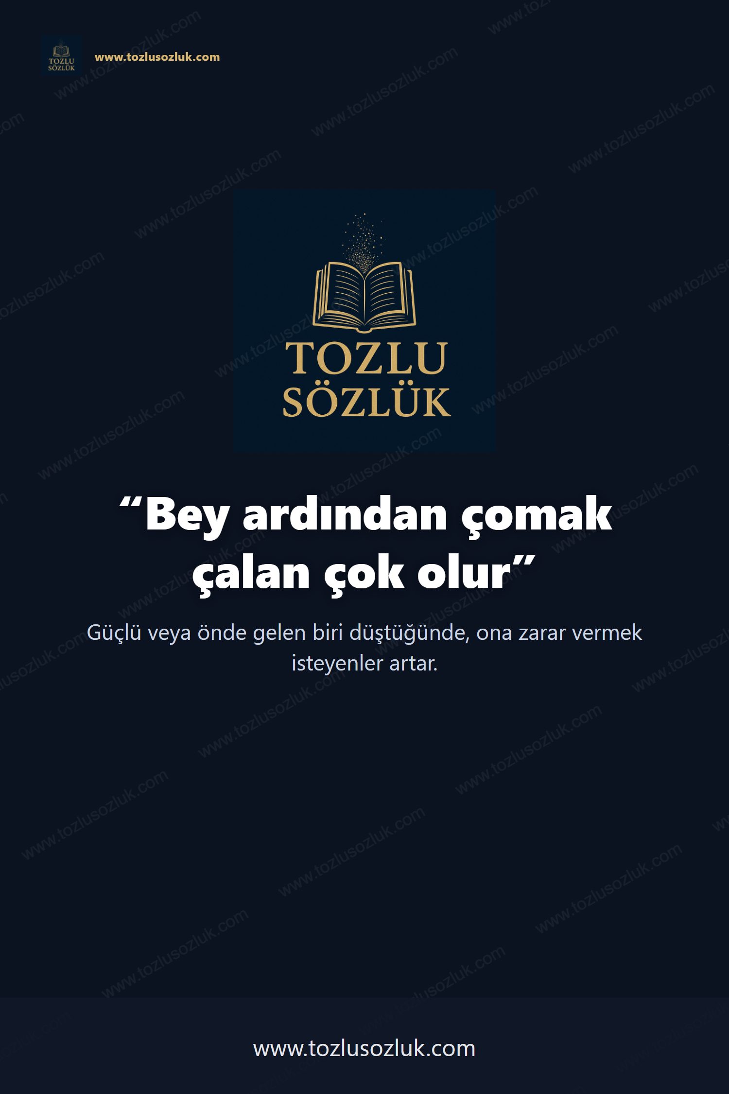 Bey ardından çomak çalan çok olur Pinterest görseli