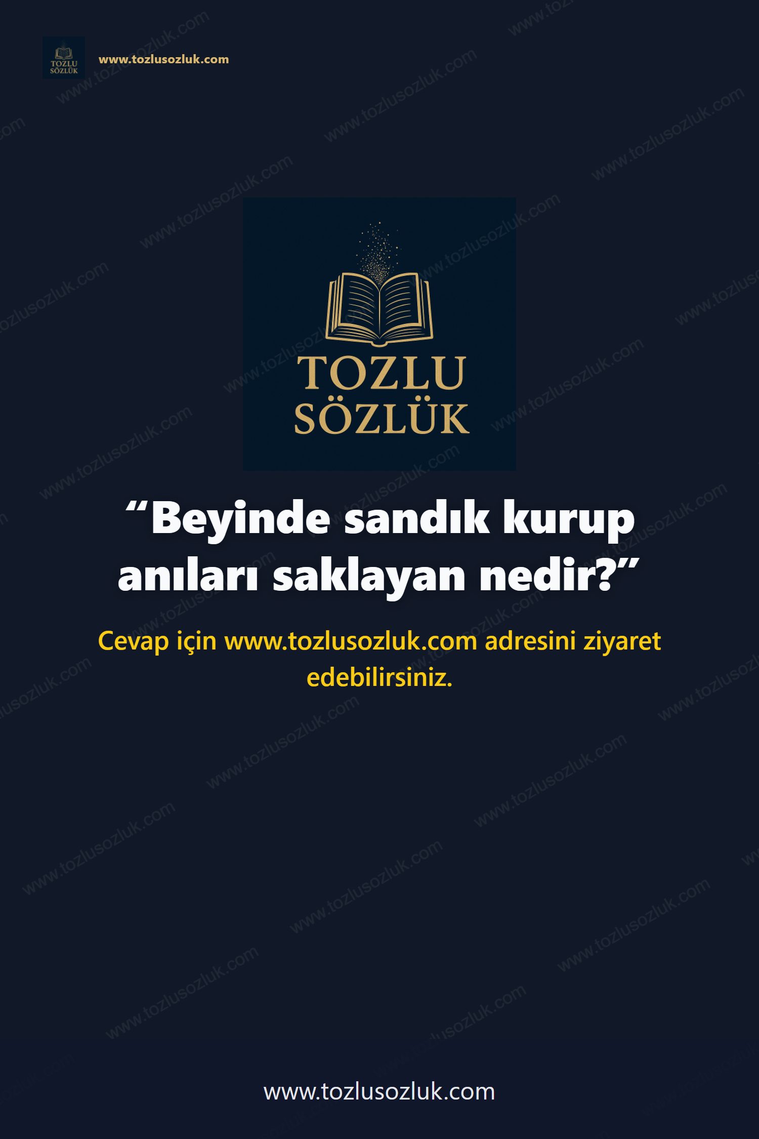 Beyinde sandık kurup anıları saklayan nedir? Pinterest görseli