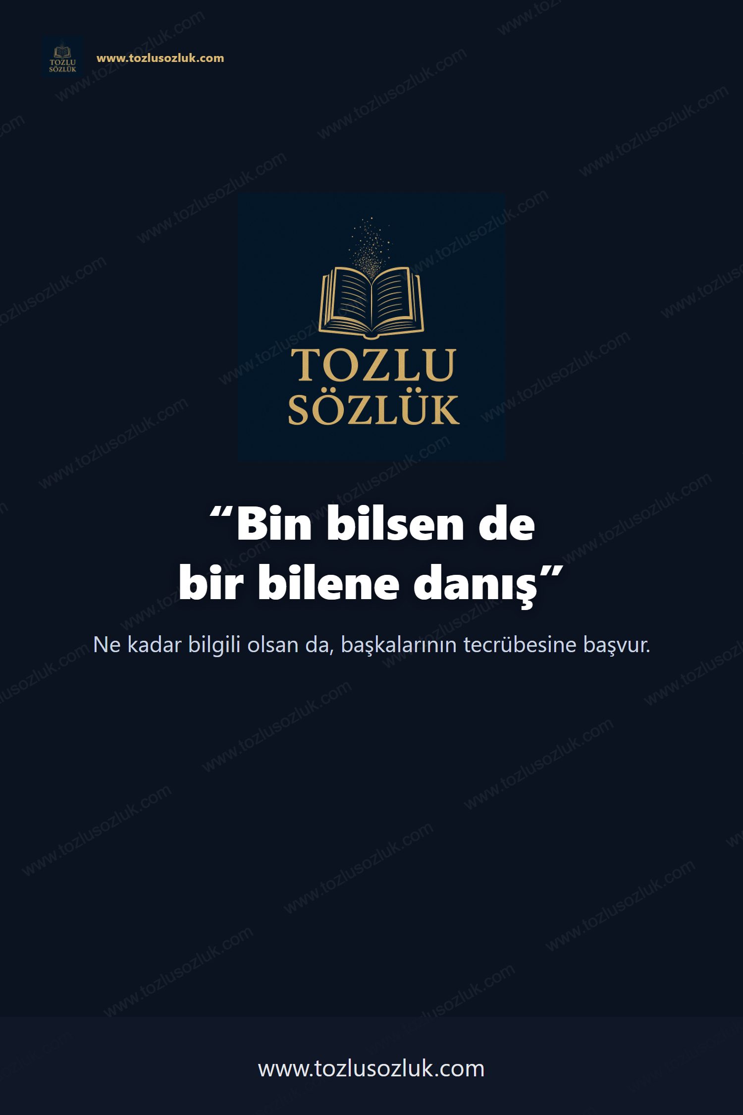 Bin bilsen de bir bilene danış Pinterest görseli