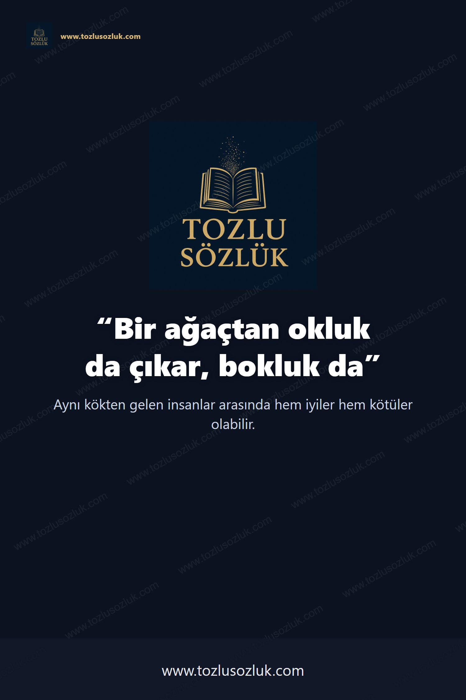 Bir ağaçtan okluk da çıkar, bokluk da Pinterest görseli