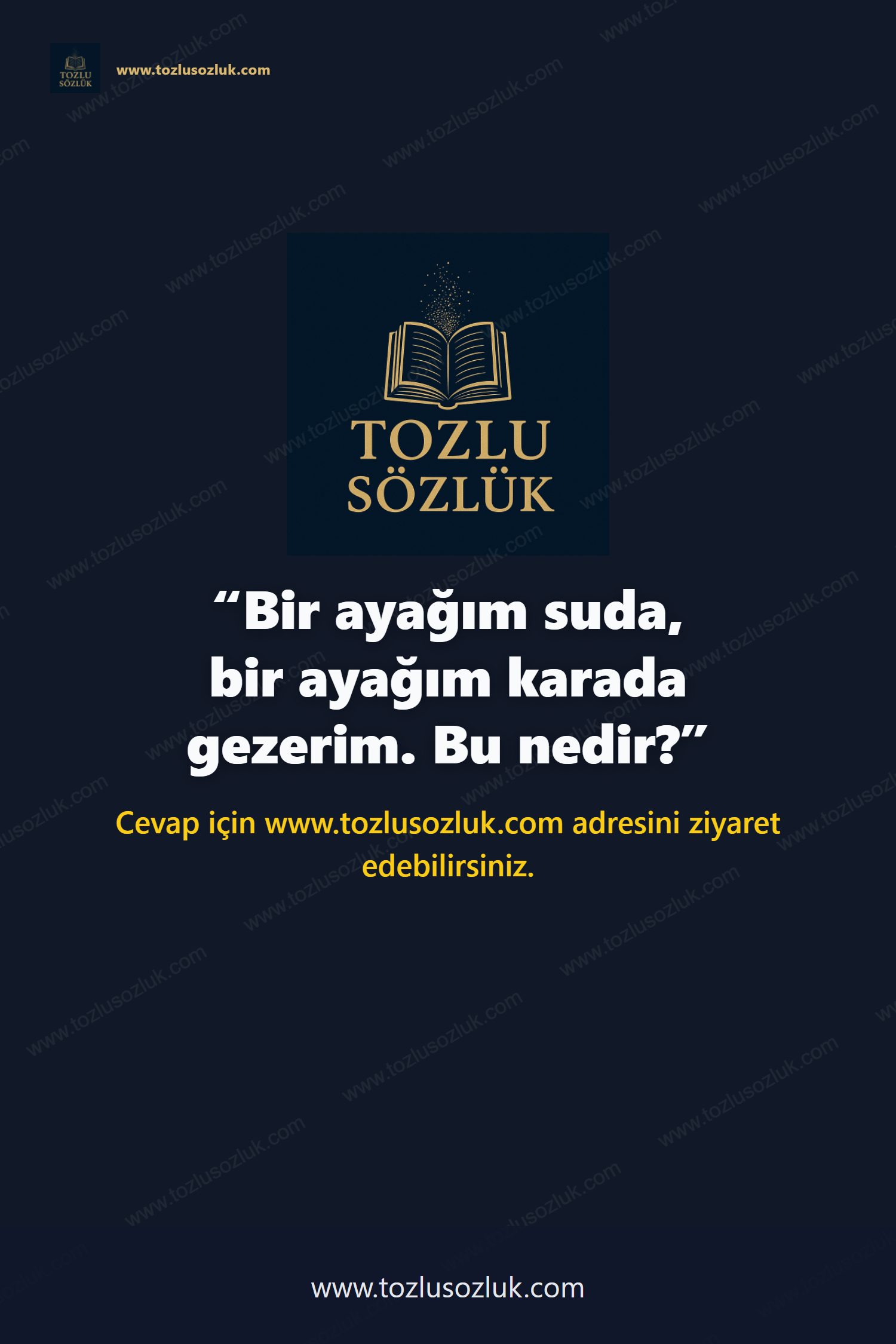 Bir ayağım suda, bir ayağım karada gezerim. Bu nedir? Pinterest görseli