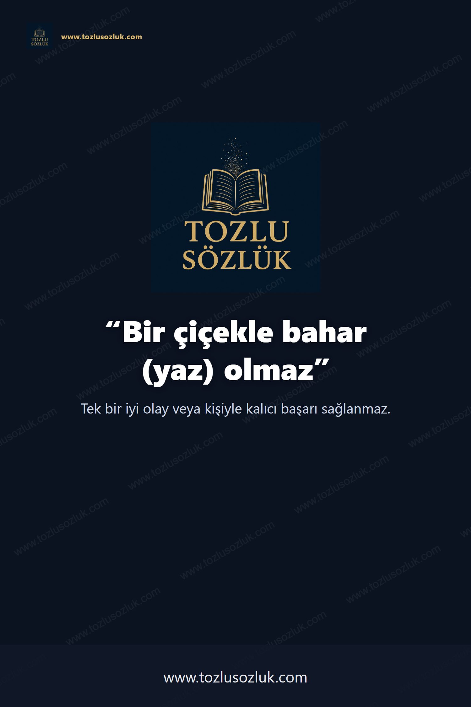 Bir çiçekle bahar (yaz) olmaz Pinterest görseli