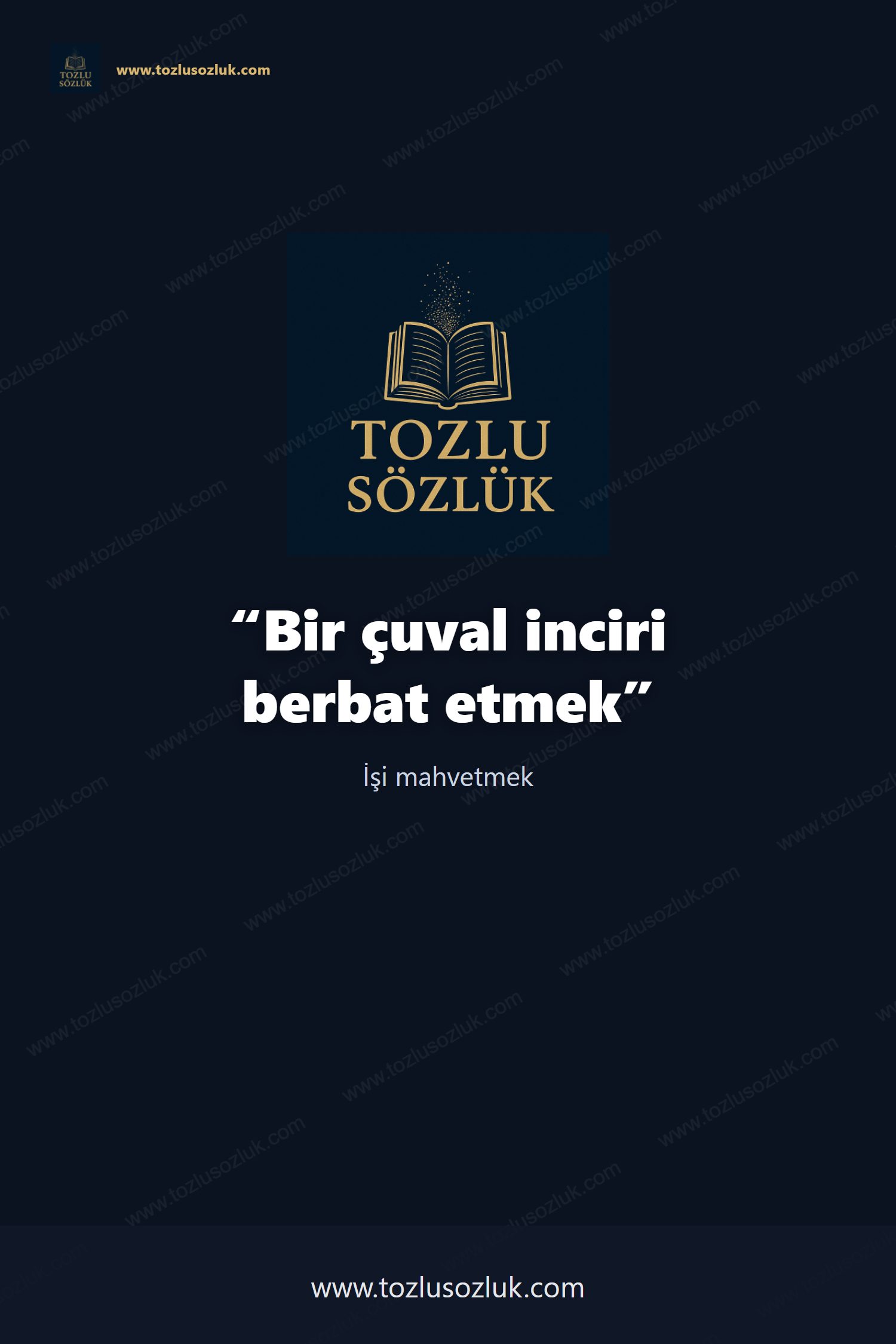 Bir çuval inciri berbat etmek Pinterest görseli