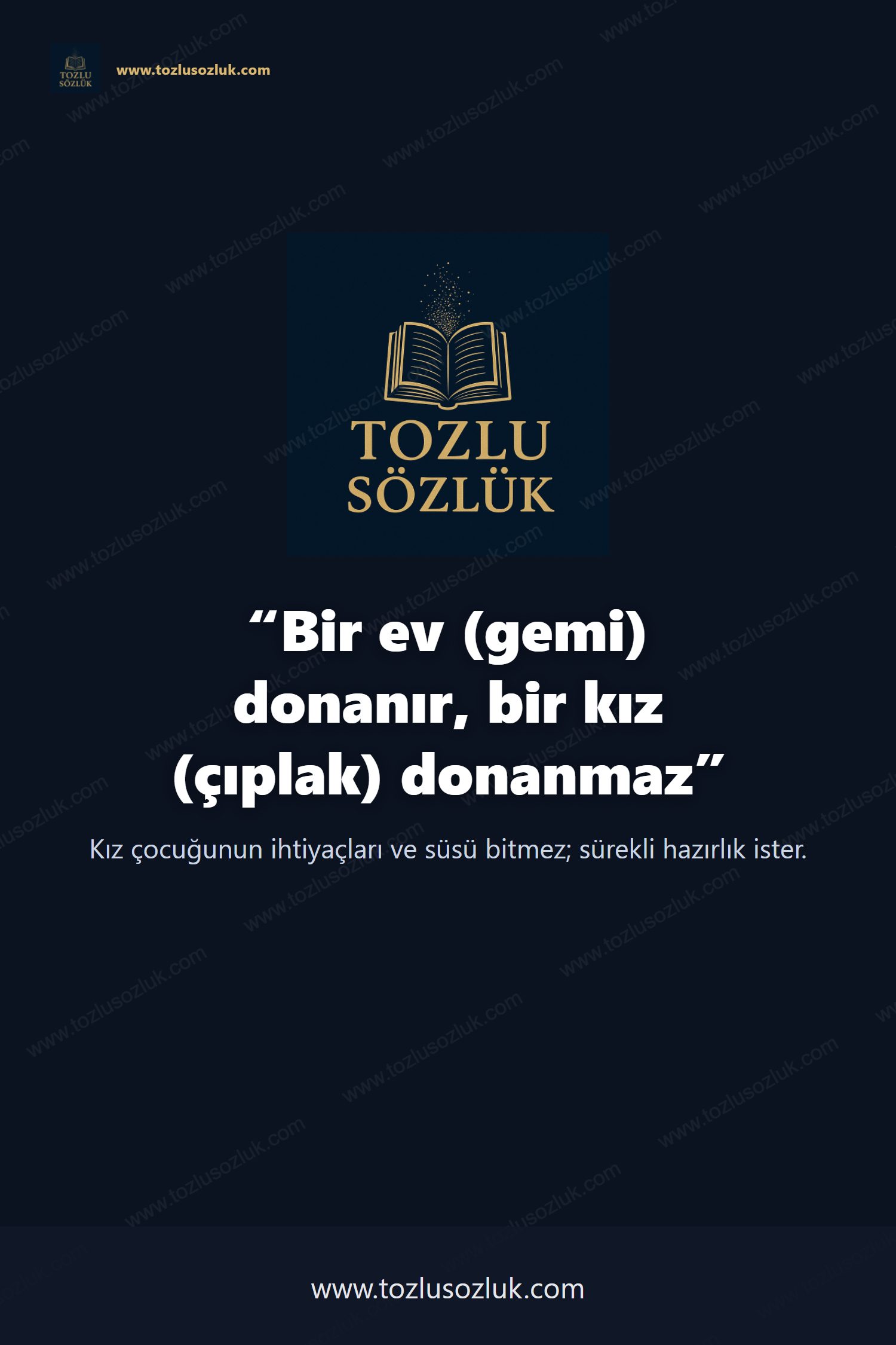 Bir ev (gemi) donanır, bir kız (çıplak) donanmaz Pinterest görseli