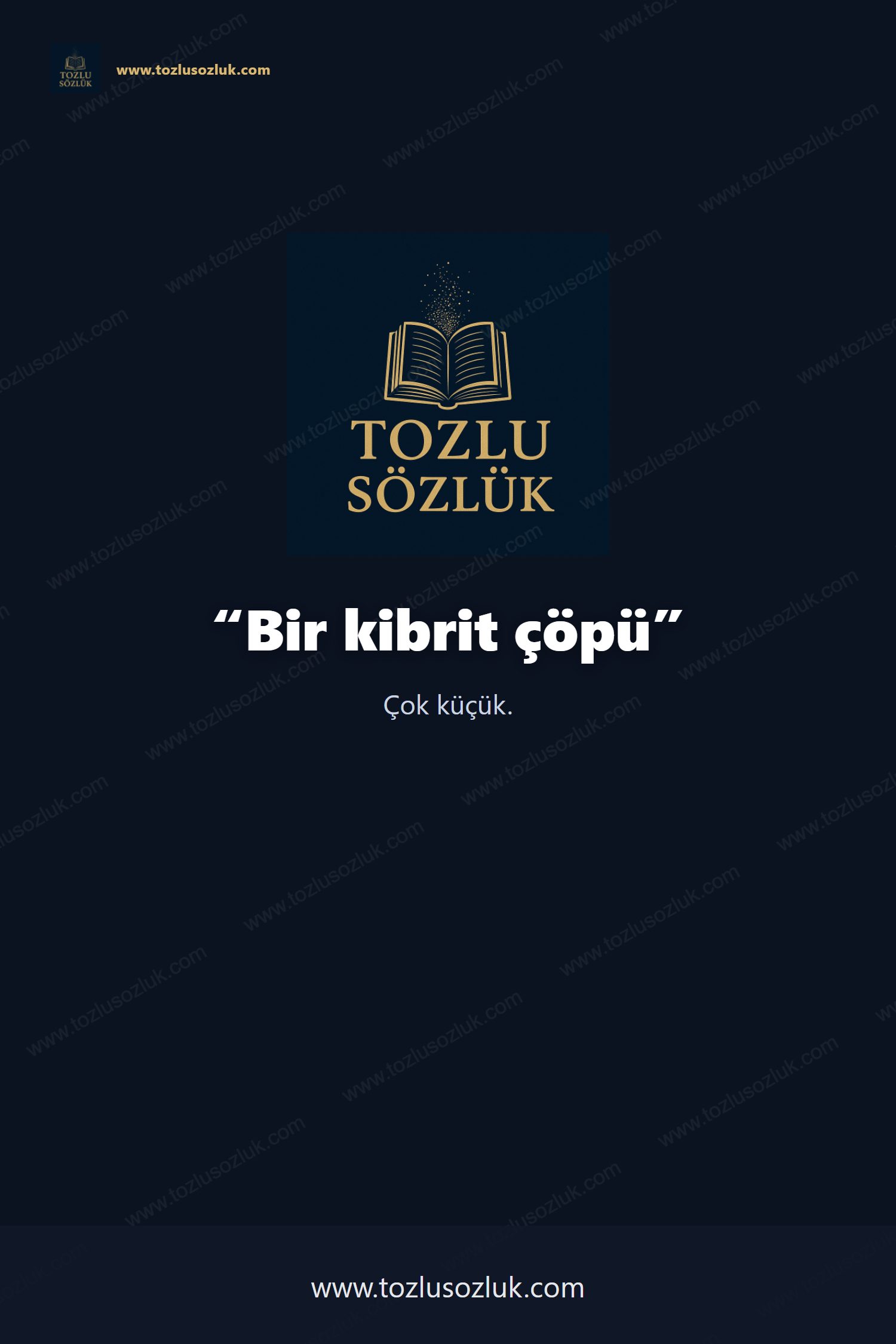 Bir kibrit çöpü Pinterest görseli