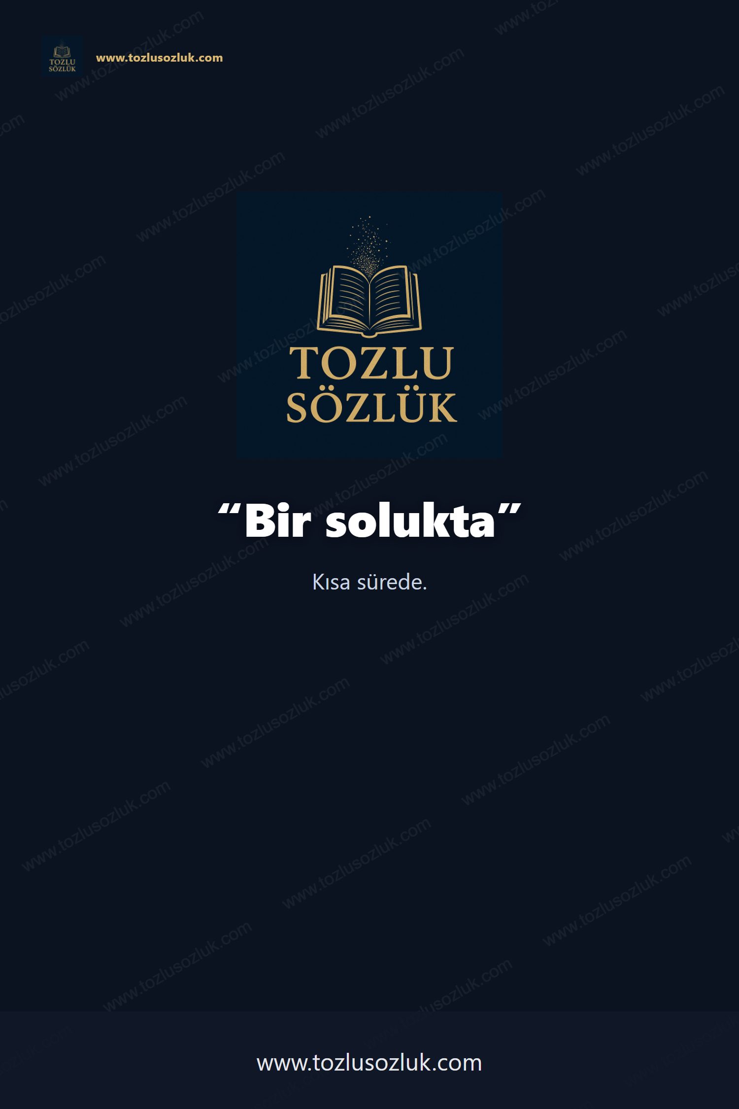 Bir solukta Pinterest görseli