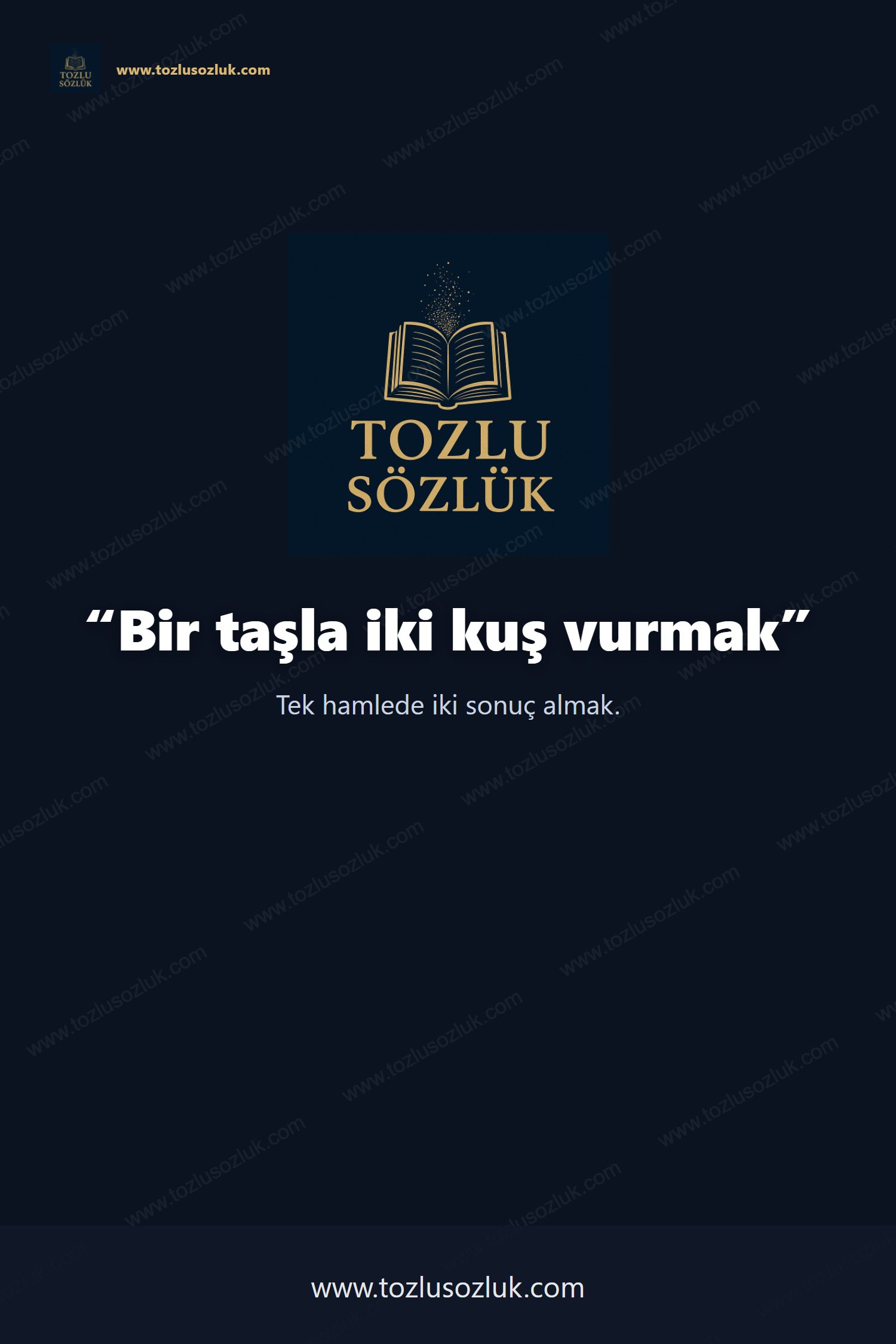 Bir taşla iki kuş vurmak Pinterest görseli