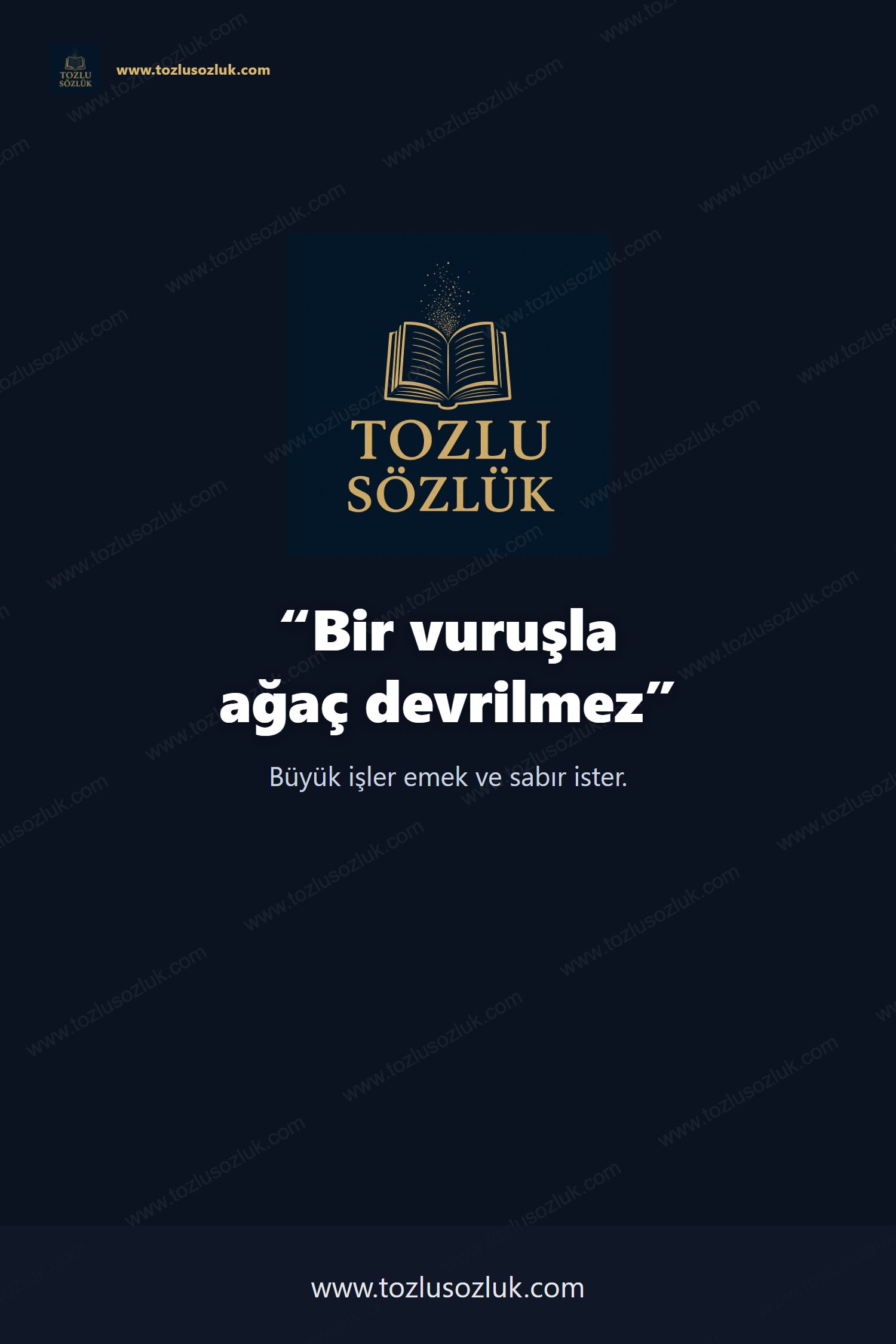 Bir vuruşla ağaç devrilmez Pinterest görseli