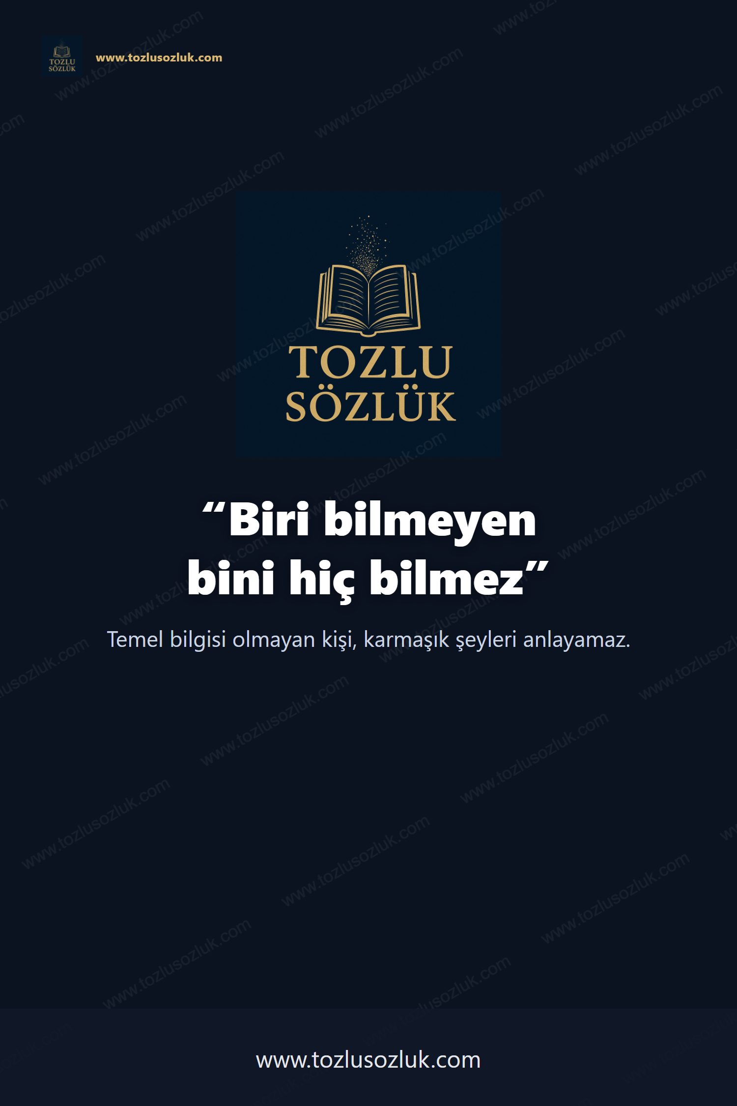 Biri bilmeyen bini hiç bilmez Pinterest görseli