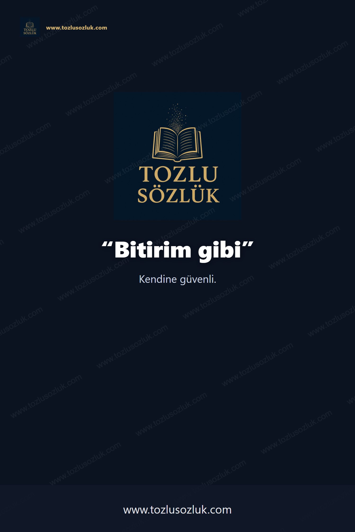 Bitirim gibi Pinterest görseli