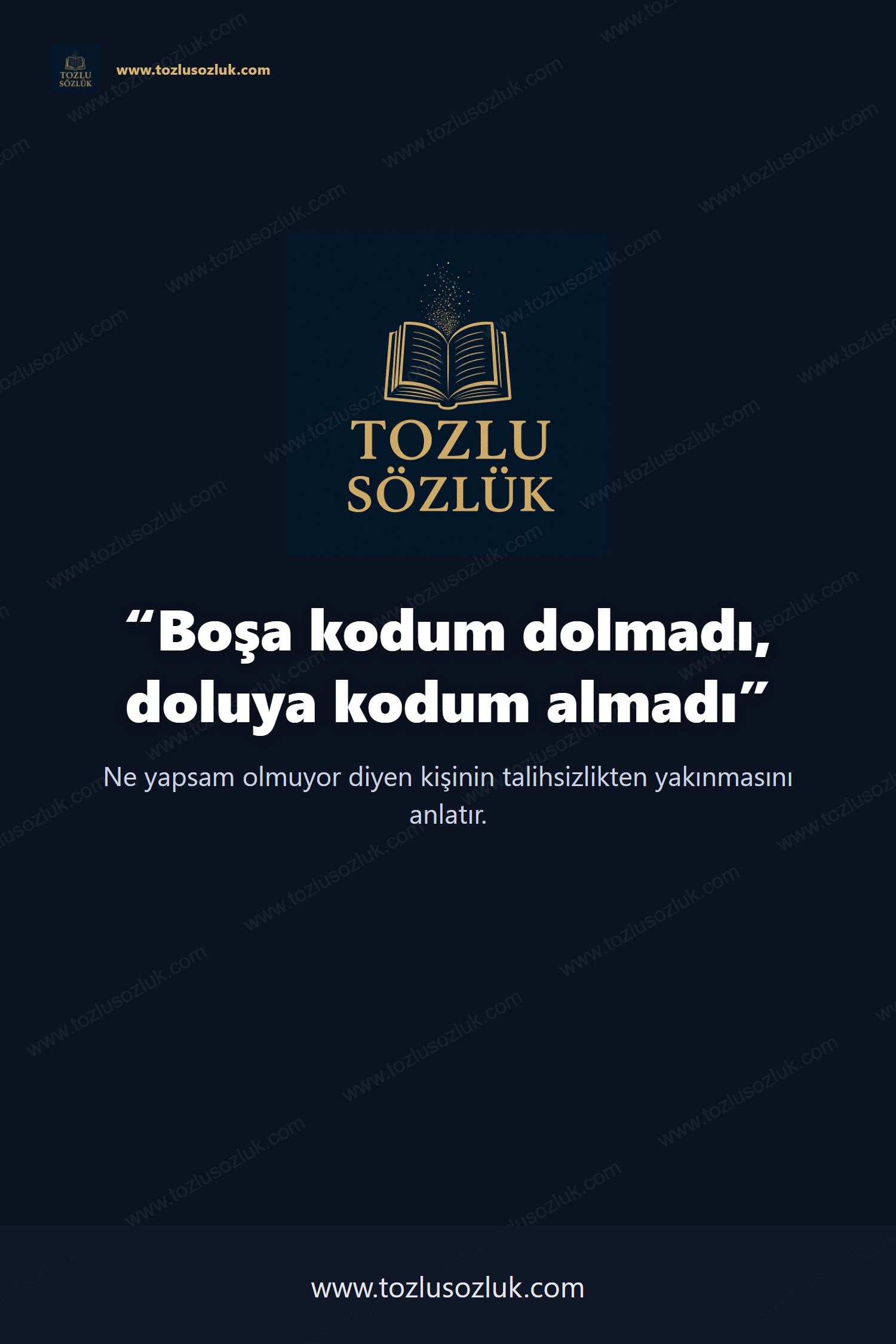 Boşa kodum dolmadı, doluya kodum almadı Pinterest görseli