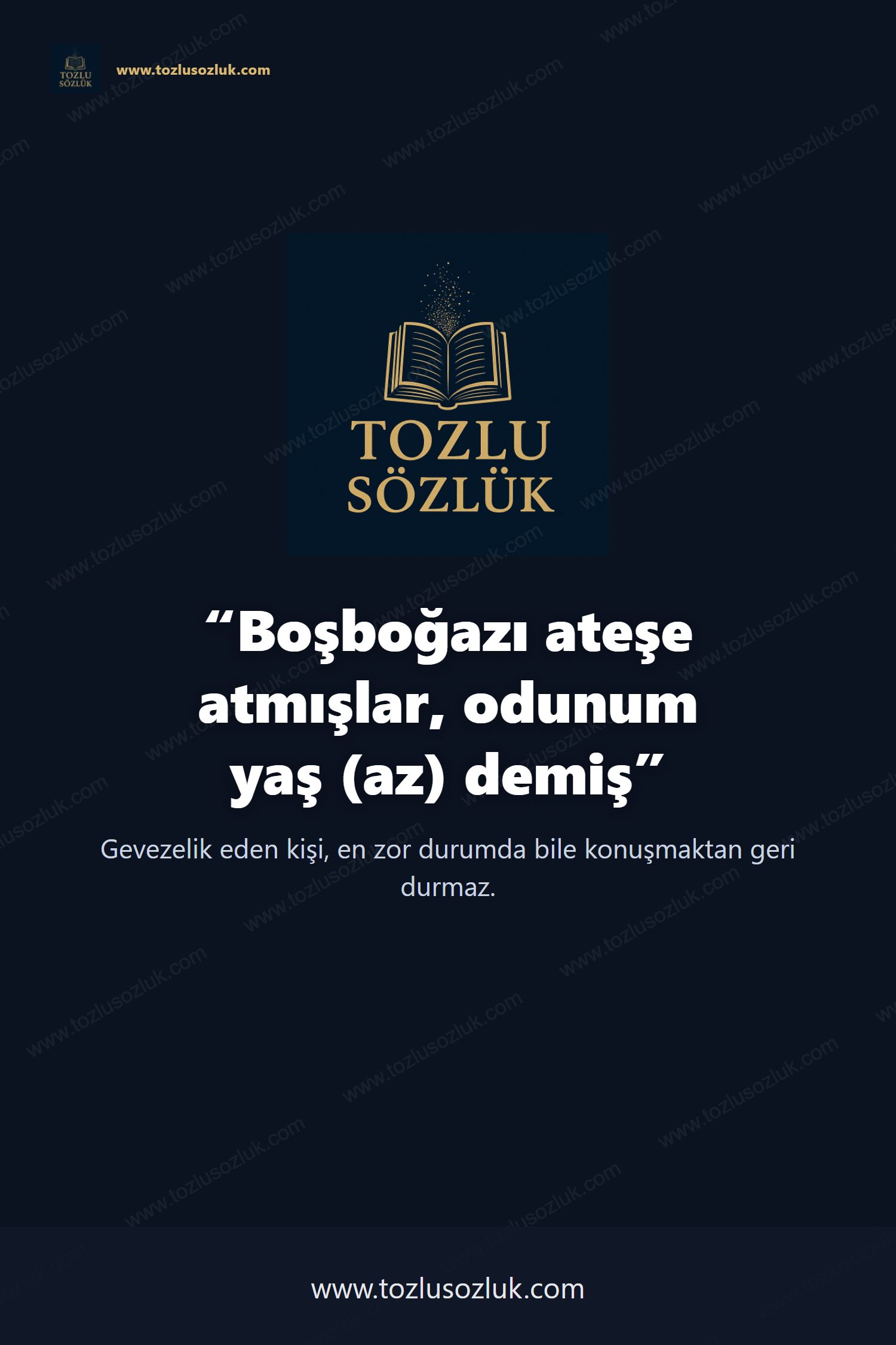 Boşboğazı ateşe atmışlar, odunum yaş (az) demiş Pinterest görseli