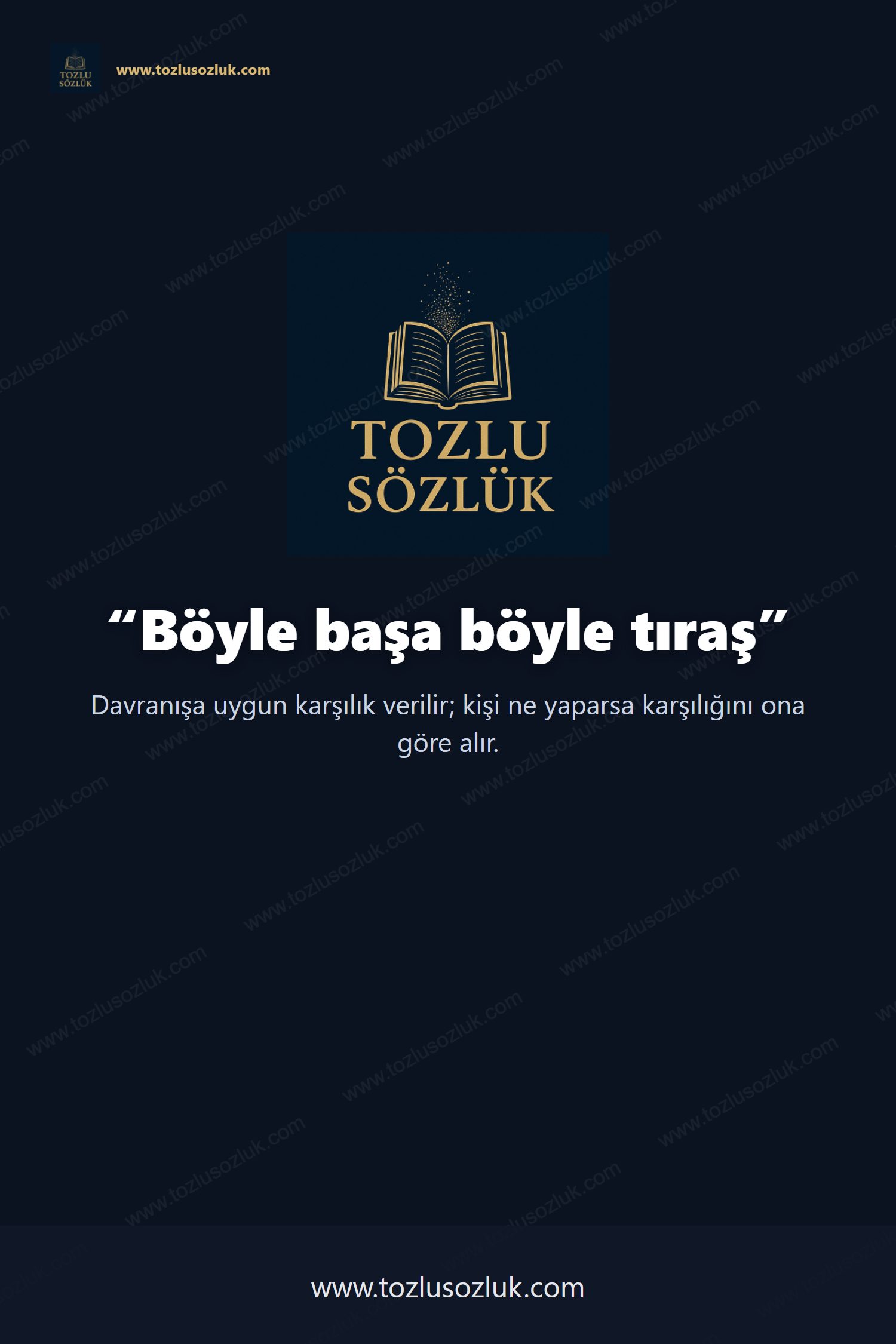 Böyle başa böyle tıraş Pinterest görseli